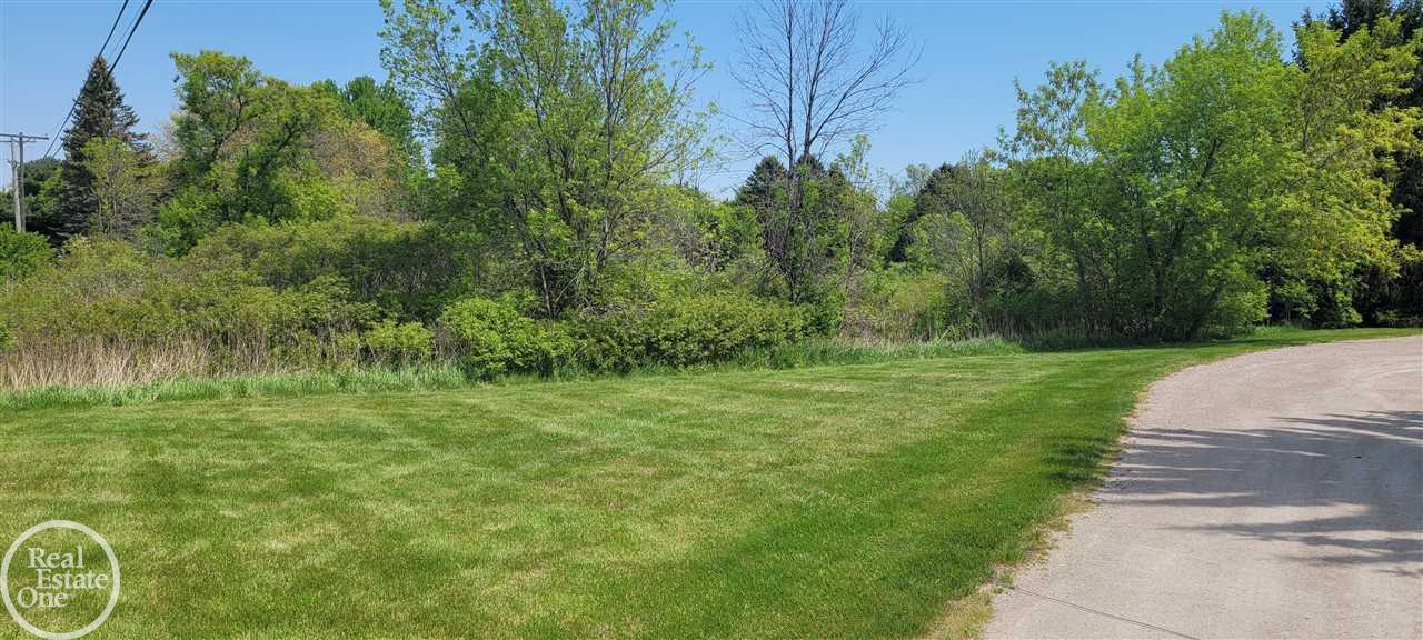 80200 Capac Road Armada, MI 48005 - Photo 4 of 18