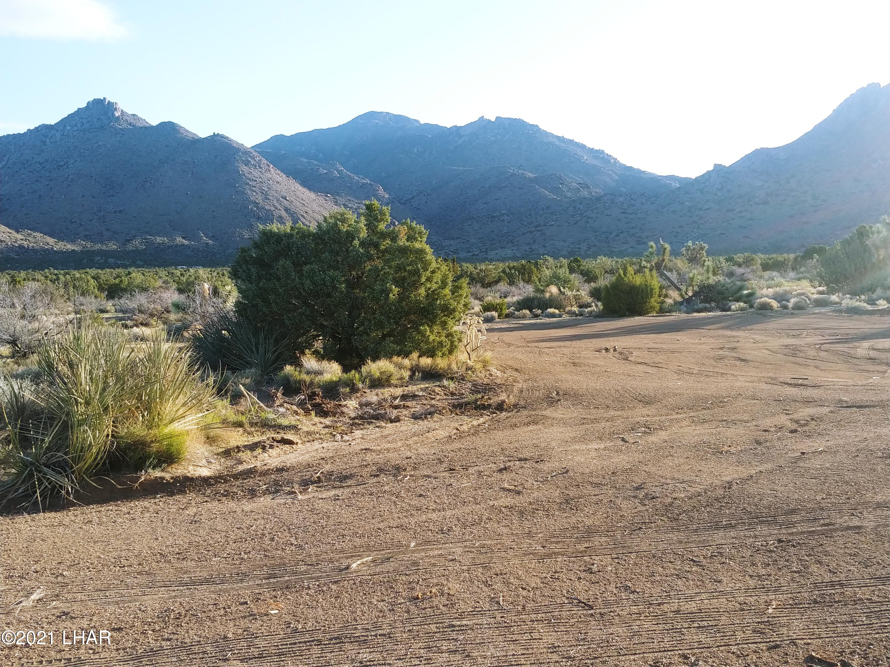 3288 D South Gold Mine Road Yucca, AZ 86438 - Photo 25 of 97 0417210710c