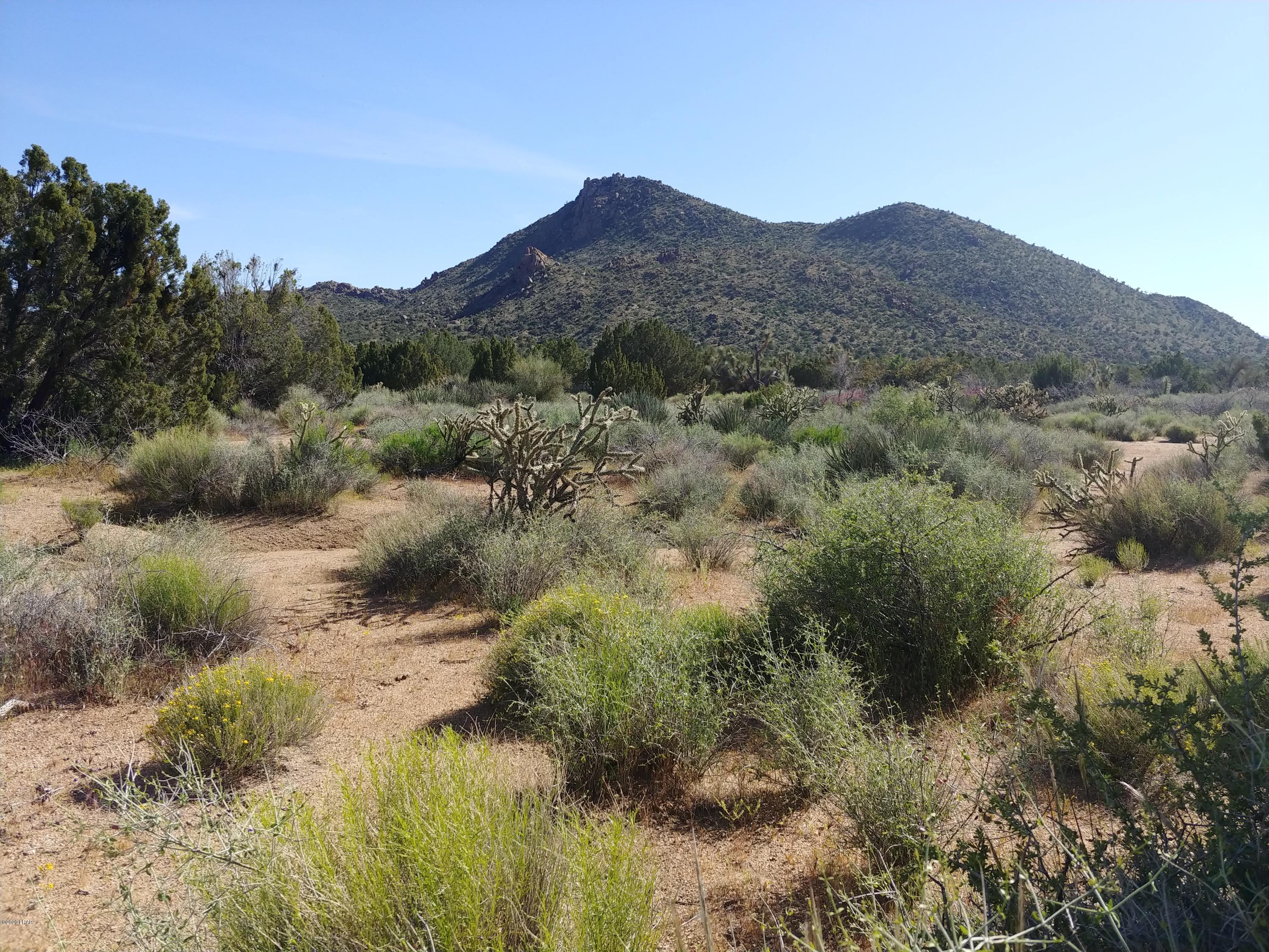 3288 D South Gold Mine Road Yucca, AZ 86438 - Photo 26 of 97 0425201605