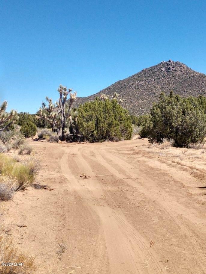 3288 D South Gold Mine Road Yucca, AZ 86438 - Photo 27 of 97 Drive way