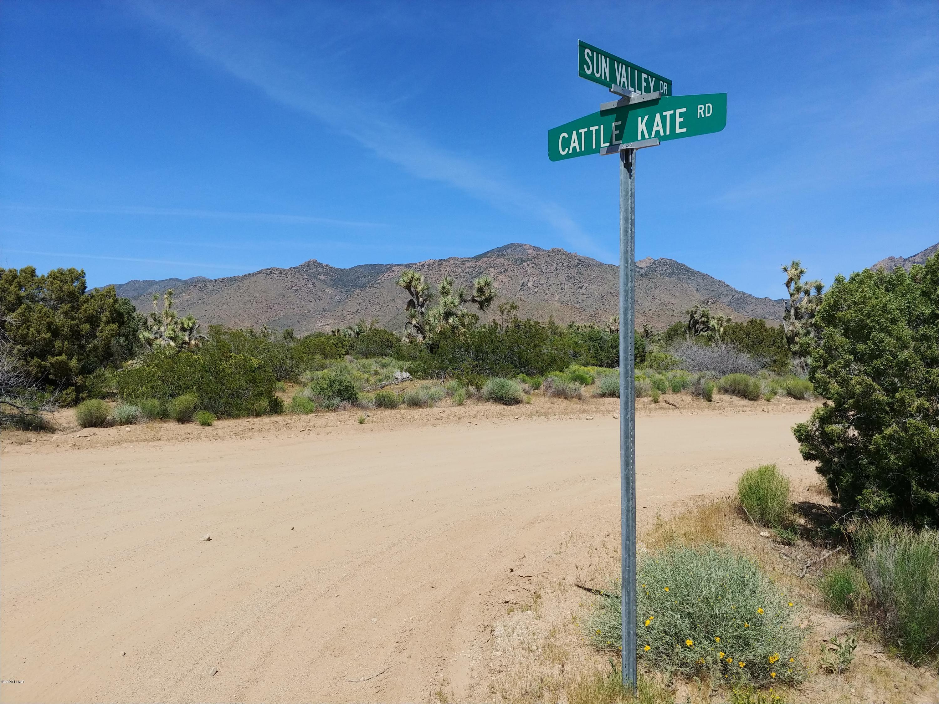 3288 D South Gold Mine Road Yucca, AZ 86438 - Photo 30 of 97 0425201433