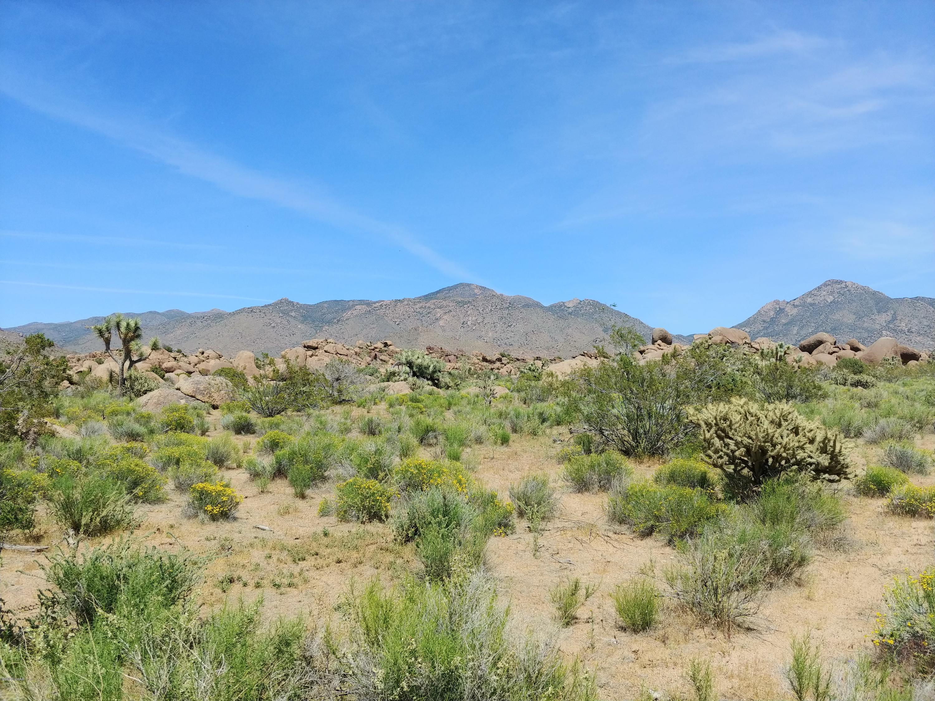 3288 D South Gold Mine Road Yucca, AZ 86438 - Photo 32 of 97 0425201428