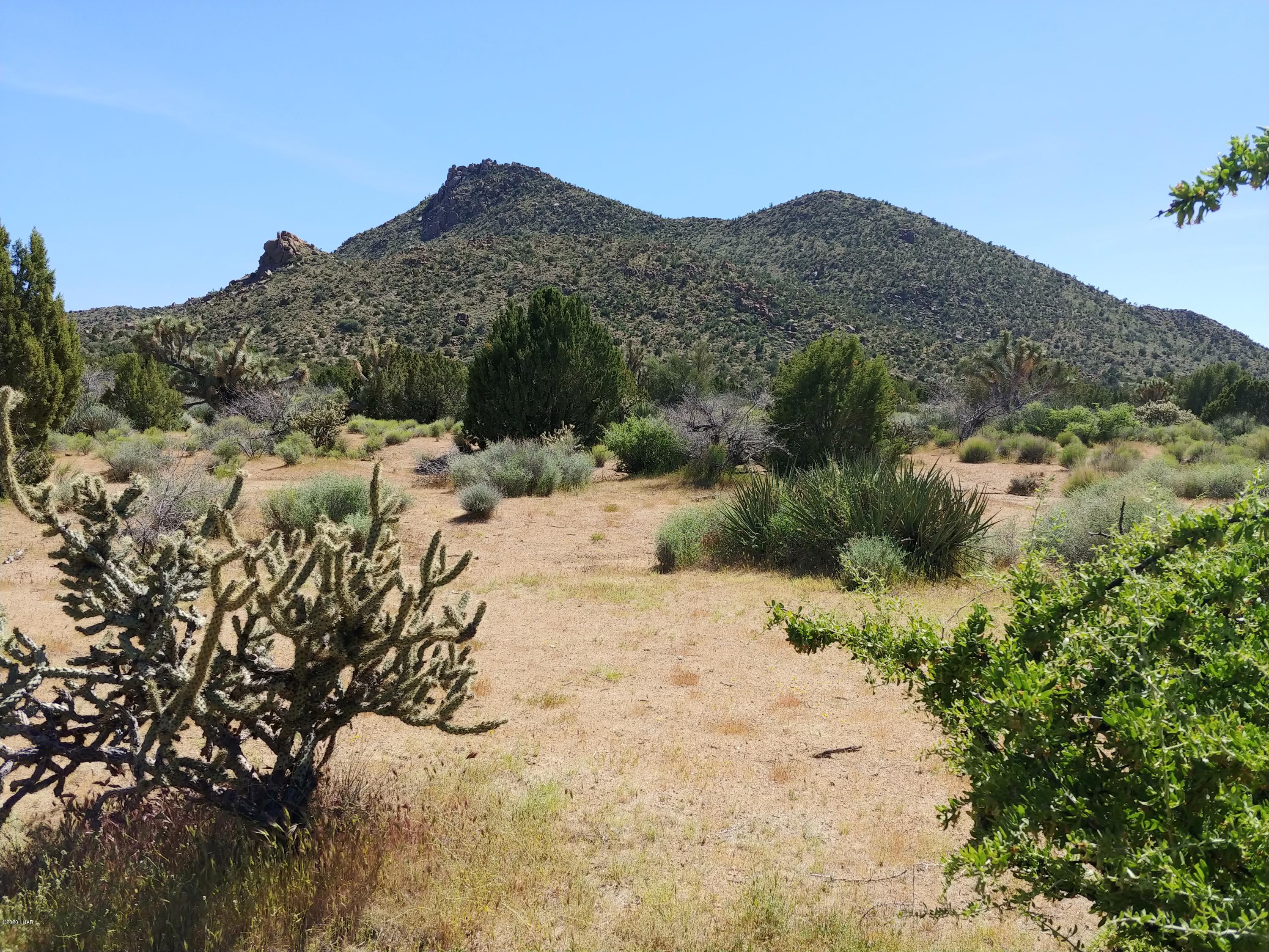 3288 D South Gold Mine Road Yucca, AZ 86438 - Photo 34 of 97 0425201450