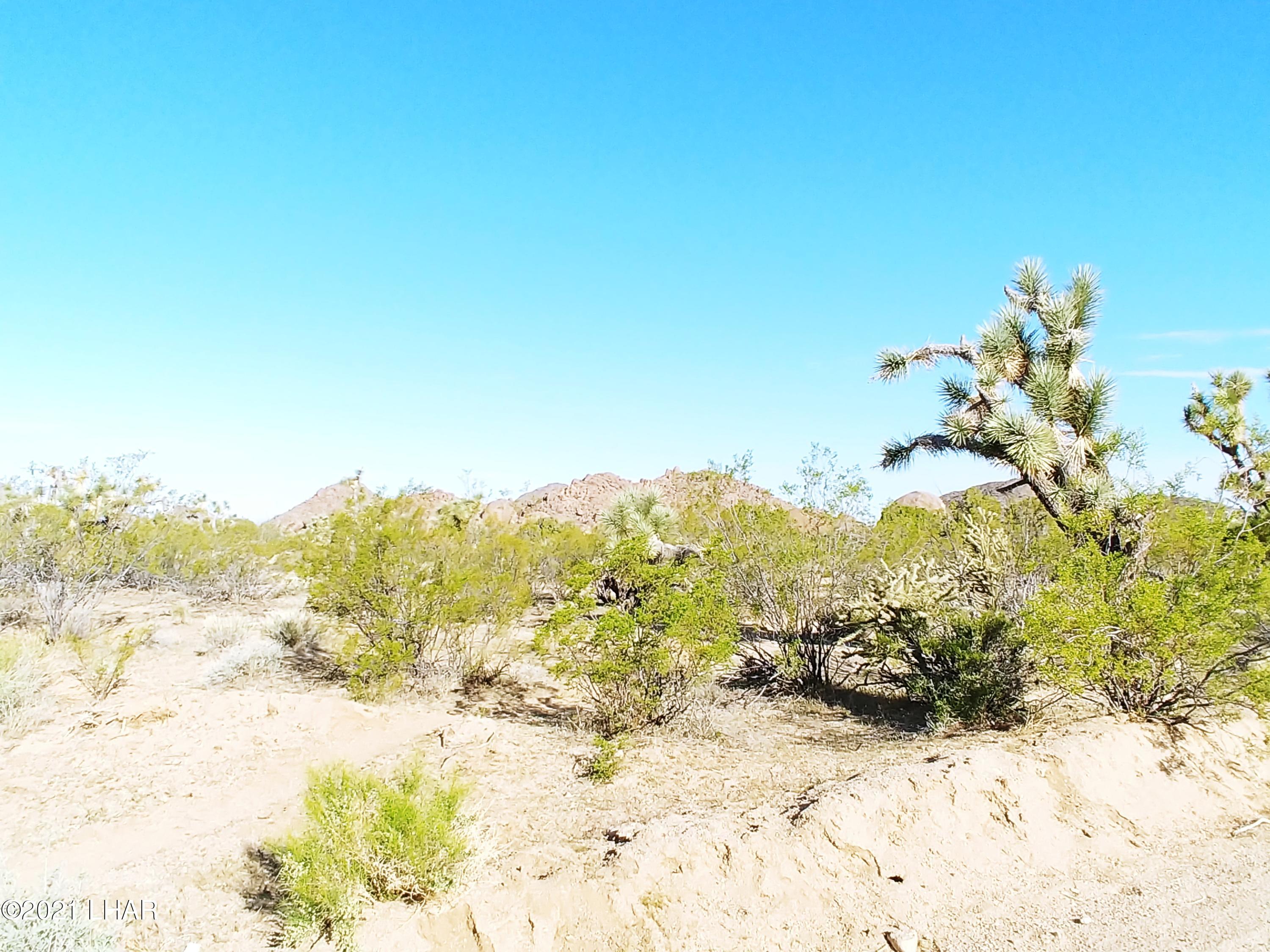 3288 D South Gold Mine Road Yucca, AZ 86438 - Photo 41 of 97 0417210817a