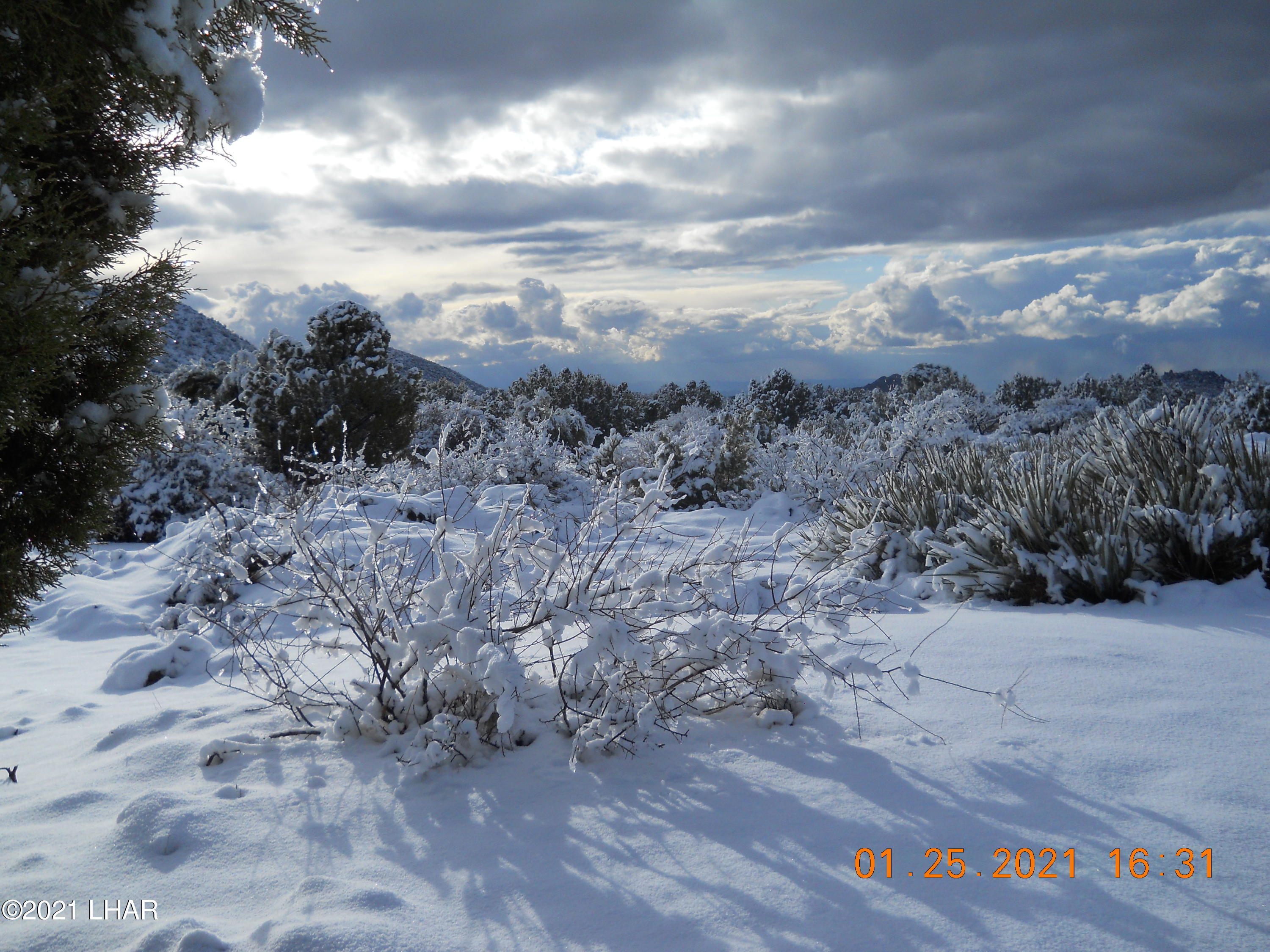 3288 D South Gold Mine Road Yucca, AZ 86438 - Photo 53 of 97 DSCN0874
