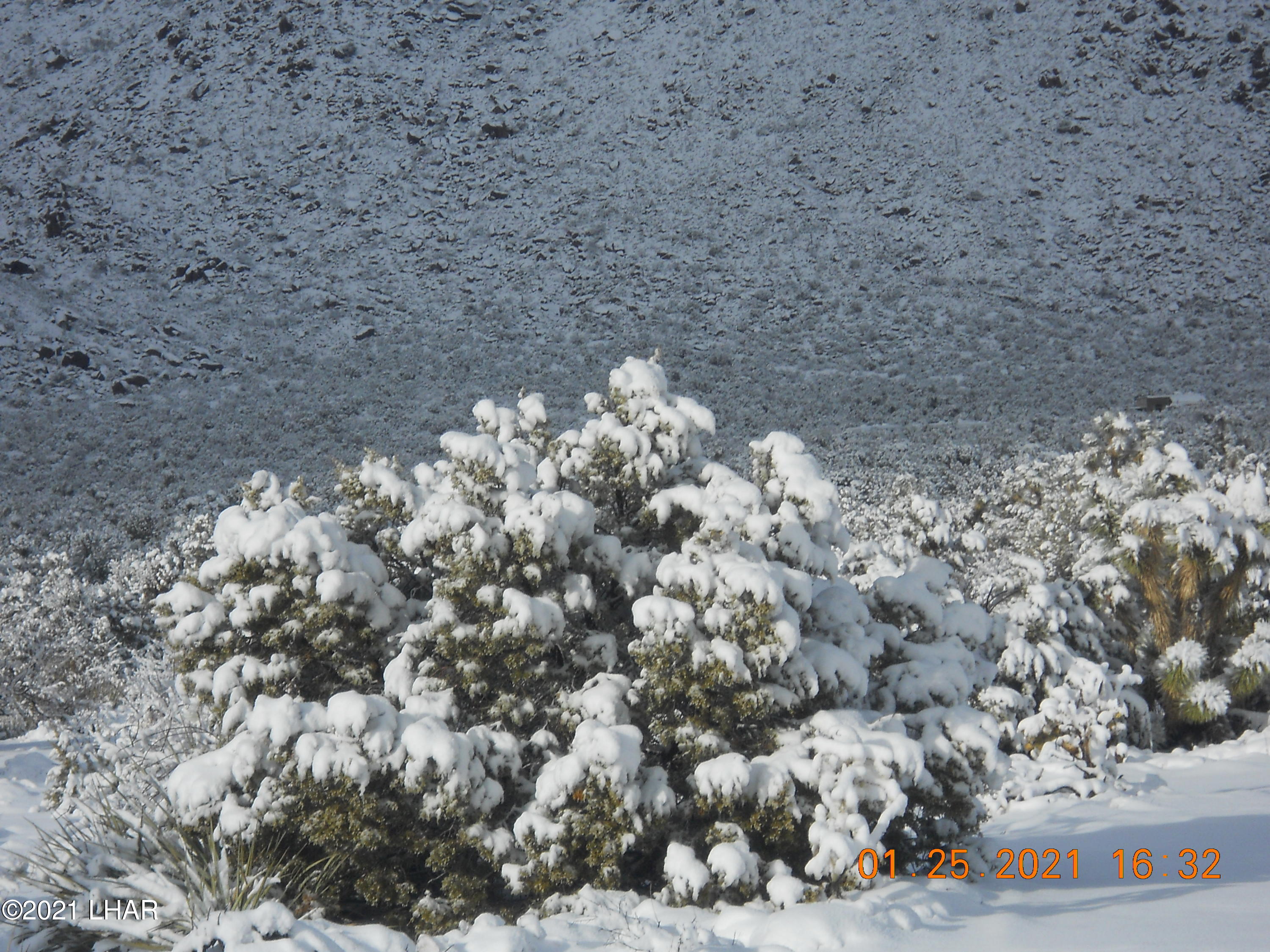 3288 D South Gold Mine Road Yucca, AZ 86438 - Photo 57 of 97 DSCN0879