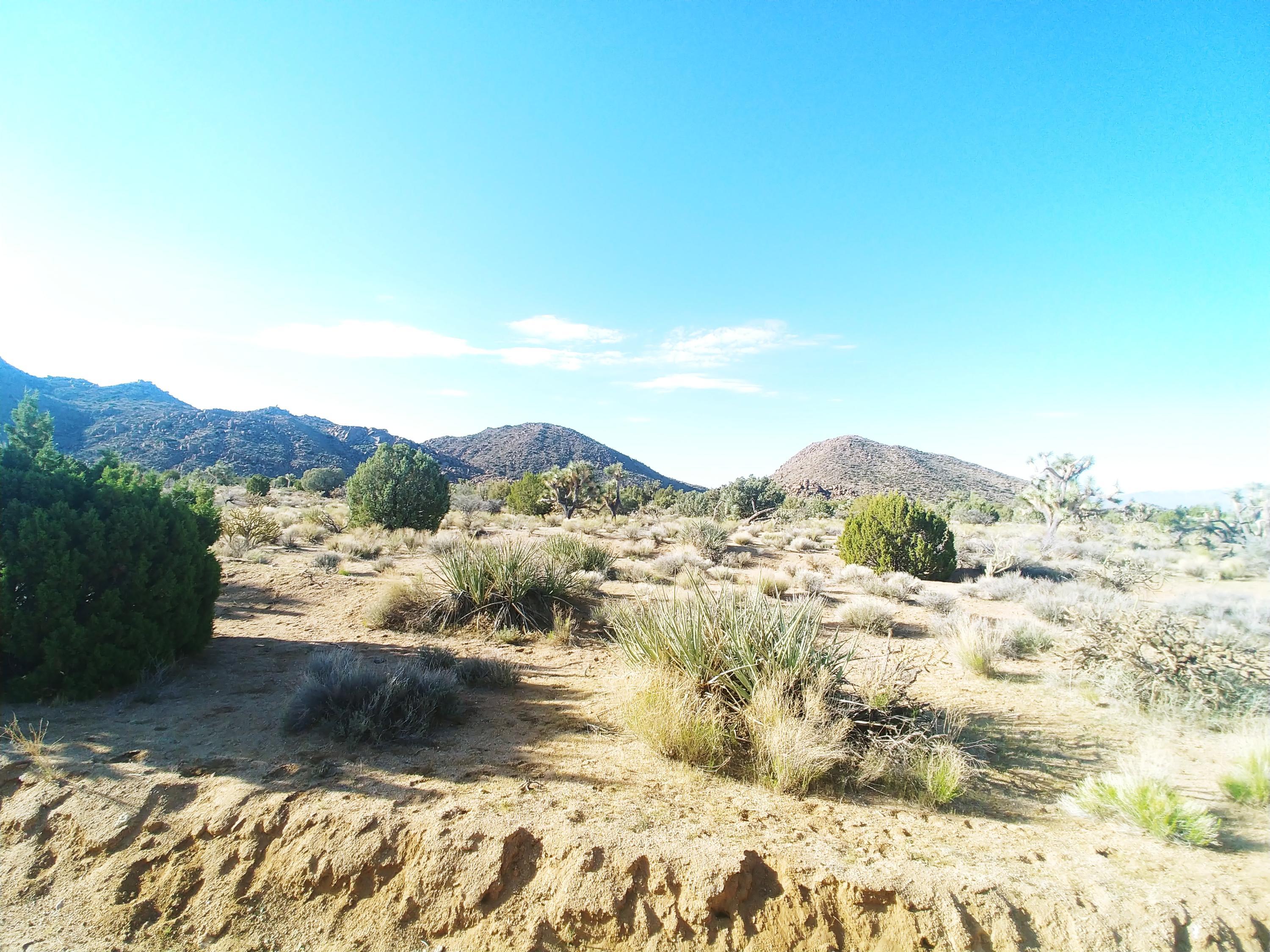 3288 D South Gold Mine Road Yucca, AZ 86438 - Photo 68 of 97 0417210812