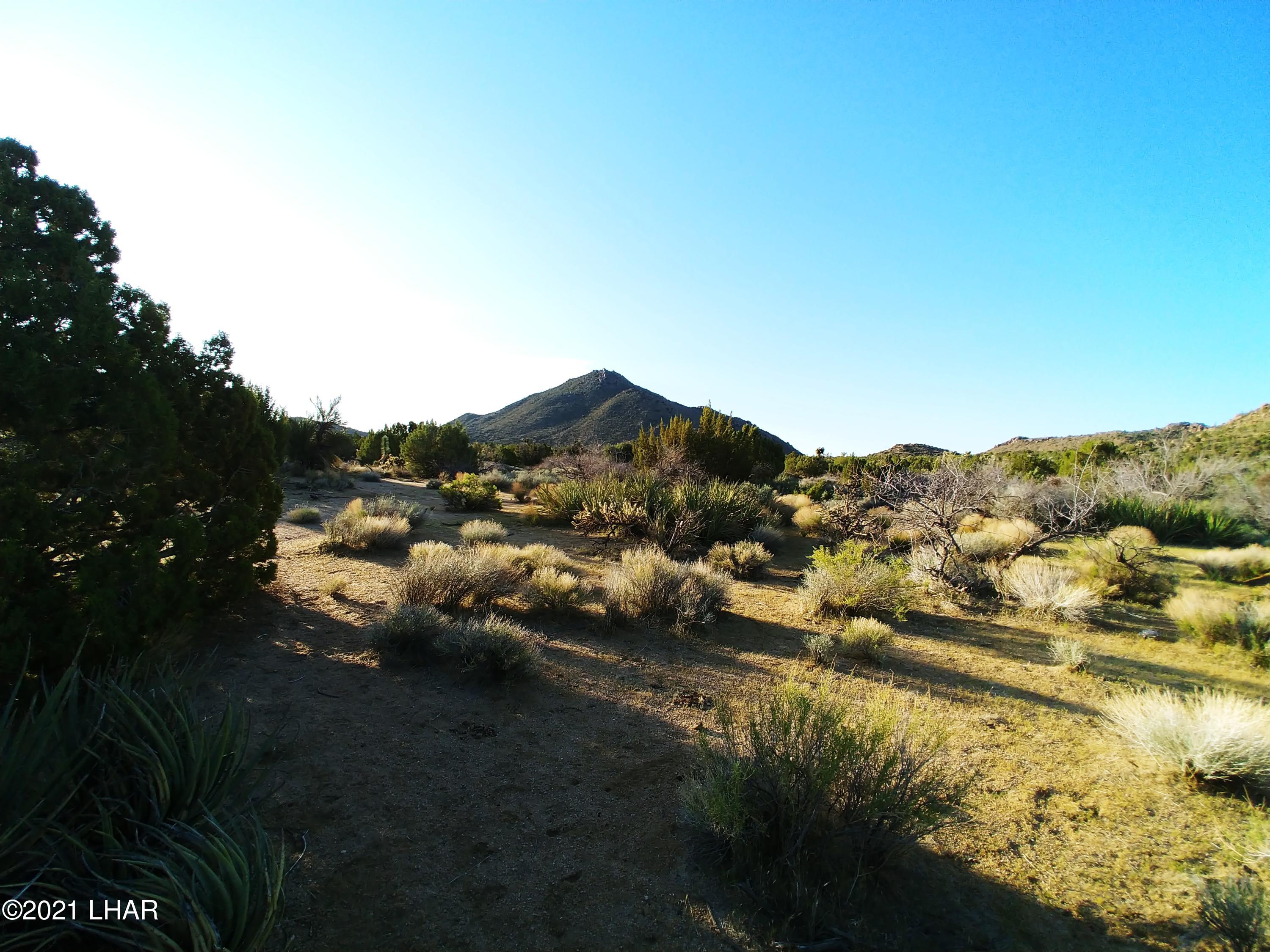 3288 D South Gold Mine Road Yucca, AZ 86438 - Photo 70 of 97 0417210713a