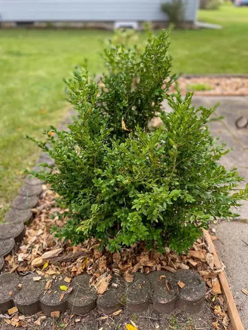 $239,900 | 307 27th Street Northeast, Bemidji, MN 56601