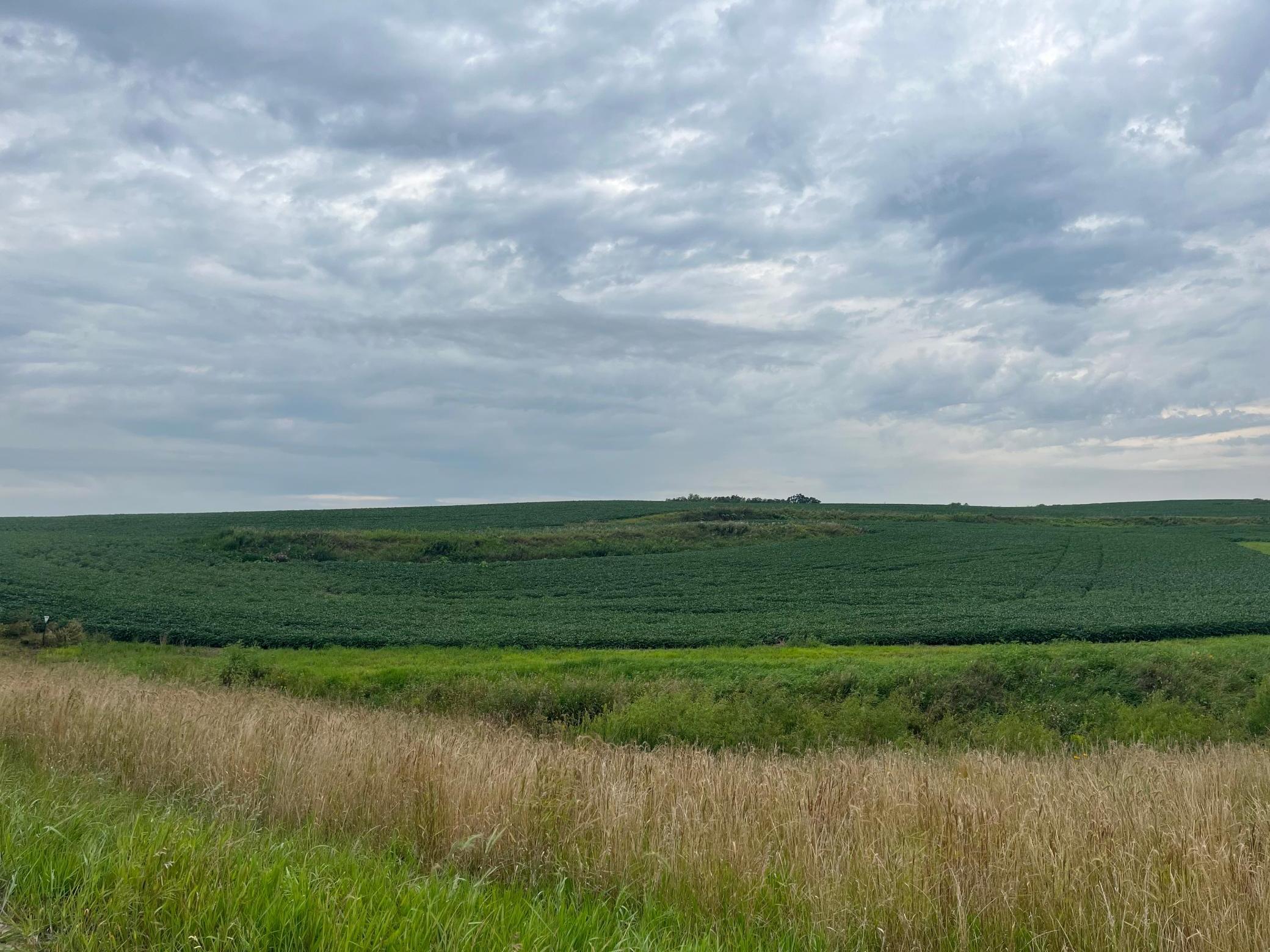 Xxxx Valleyhigh Road Northwest Byron, MN 55920 - Photo 3 of 9