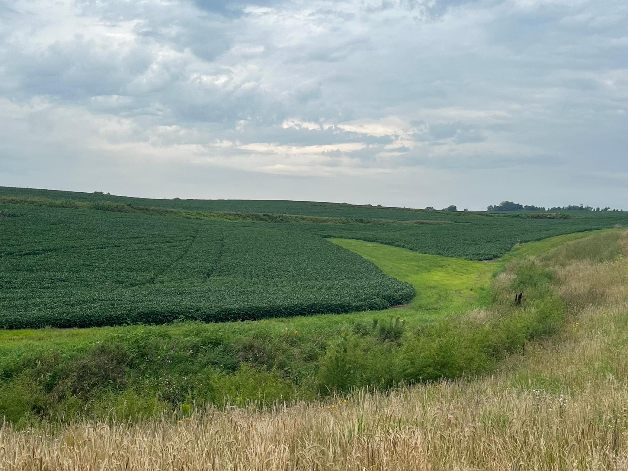 Xxxx Valleyhigh Road Northwest Byron, MN 55920 - Photo 4 of 9