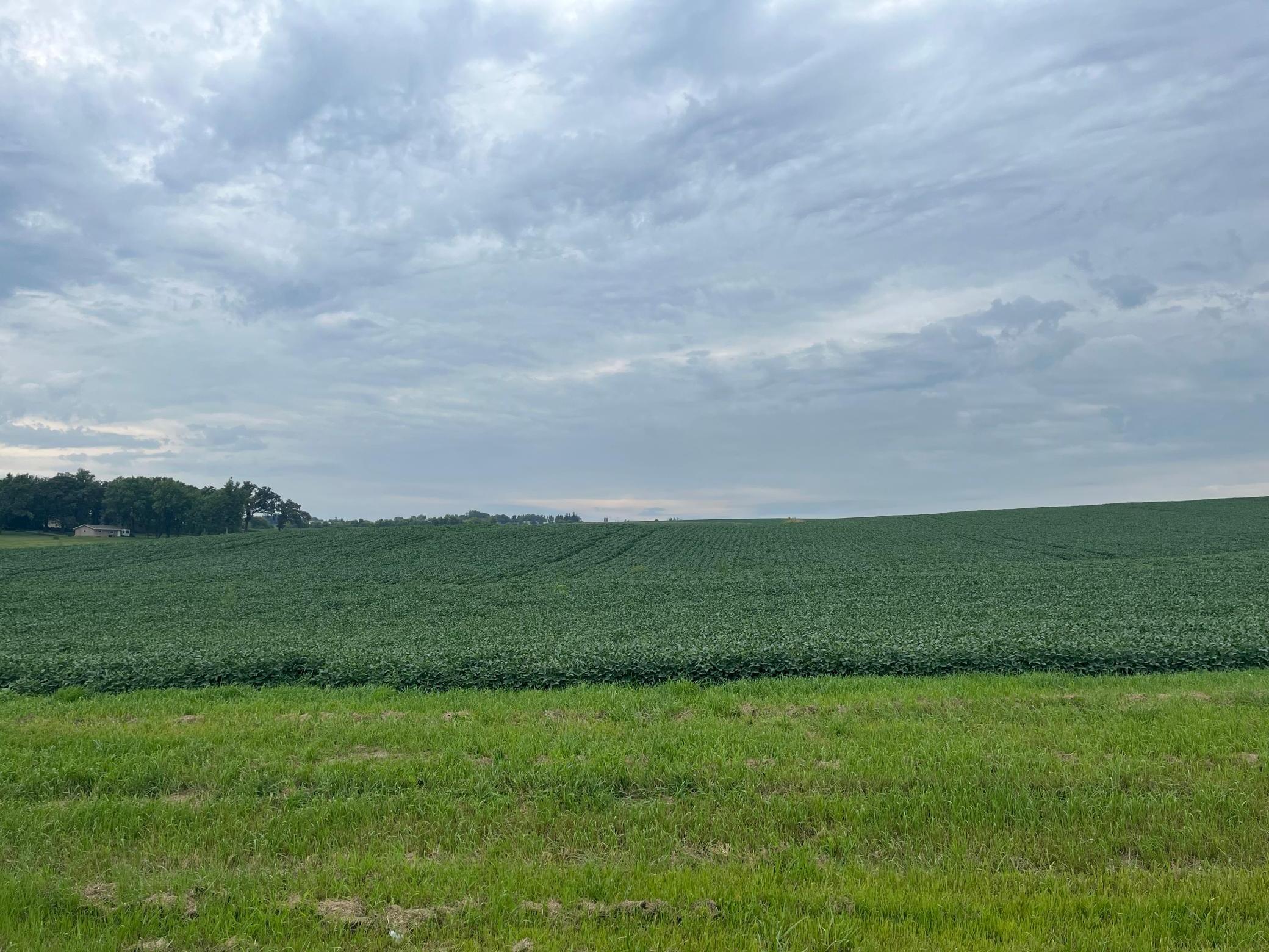 Xxxx Valleyhigh Road Northwest Byron, MN 55920 - Photo 5 of 9