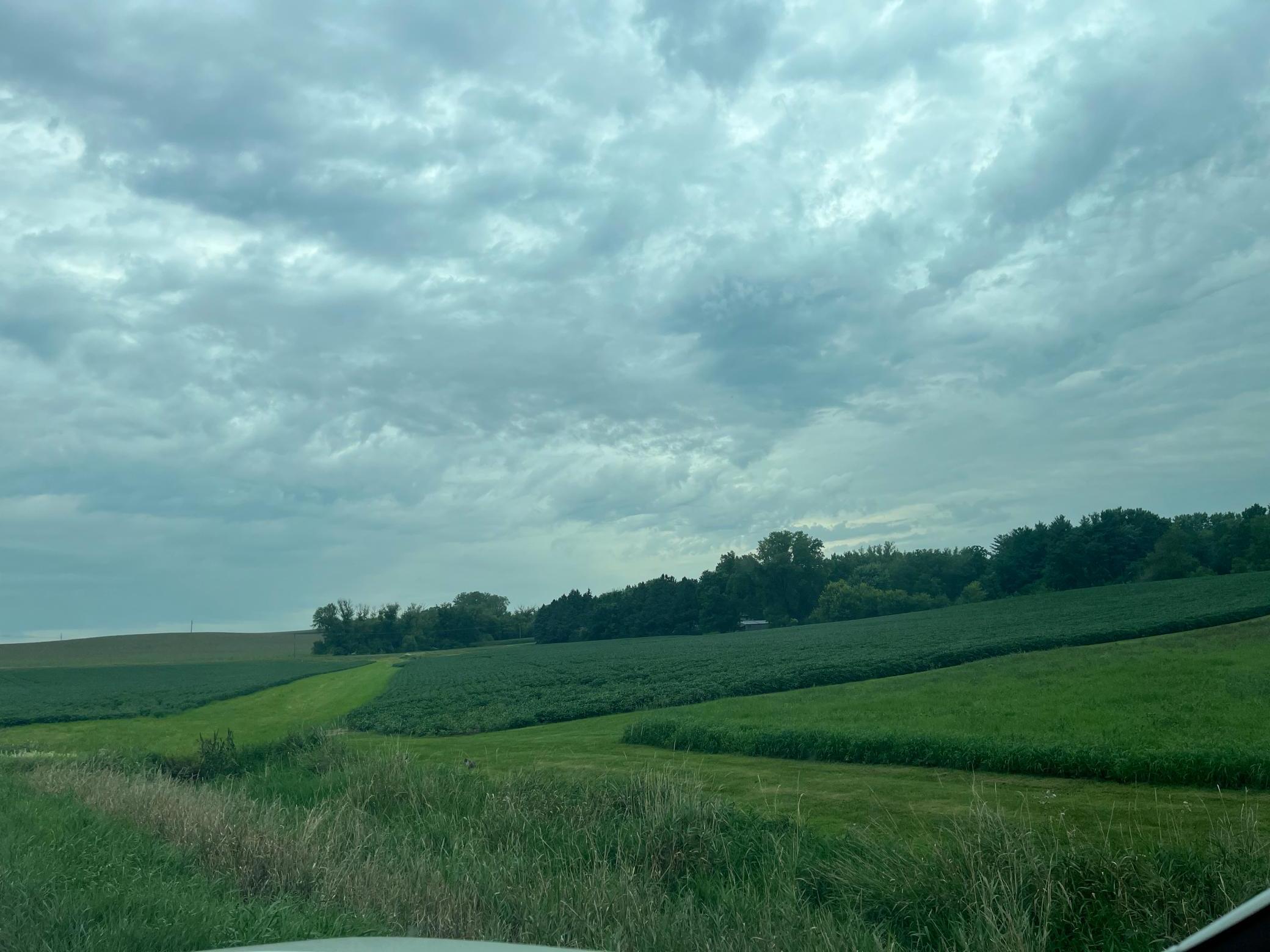 Xxxx Valleyhigh Road Northwest Byron, MN 55920 - Photo 6 of 9