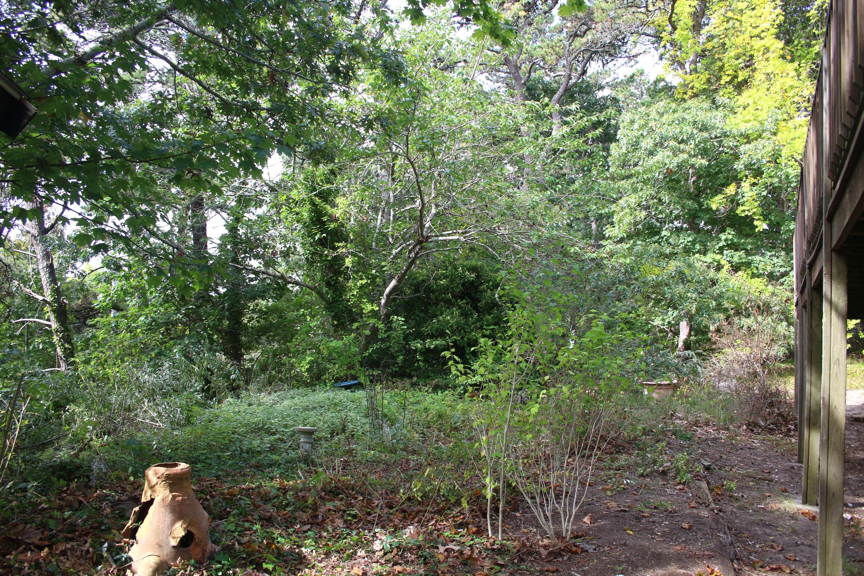 100 Hamblen Farm Road Wellfleet, MA 02667 - Photo 28 of 40 IMG_6518