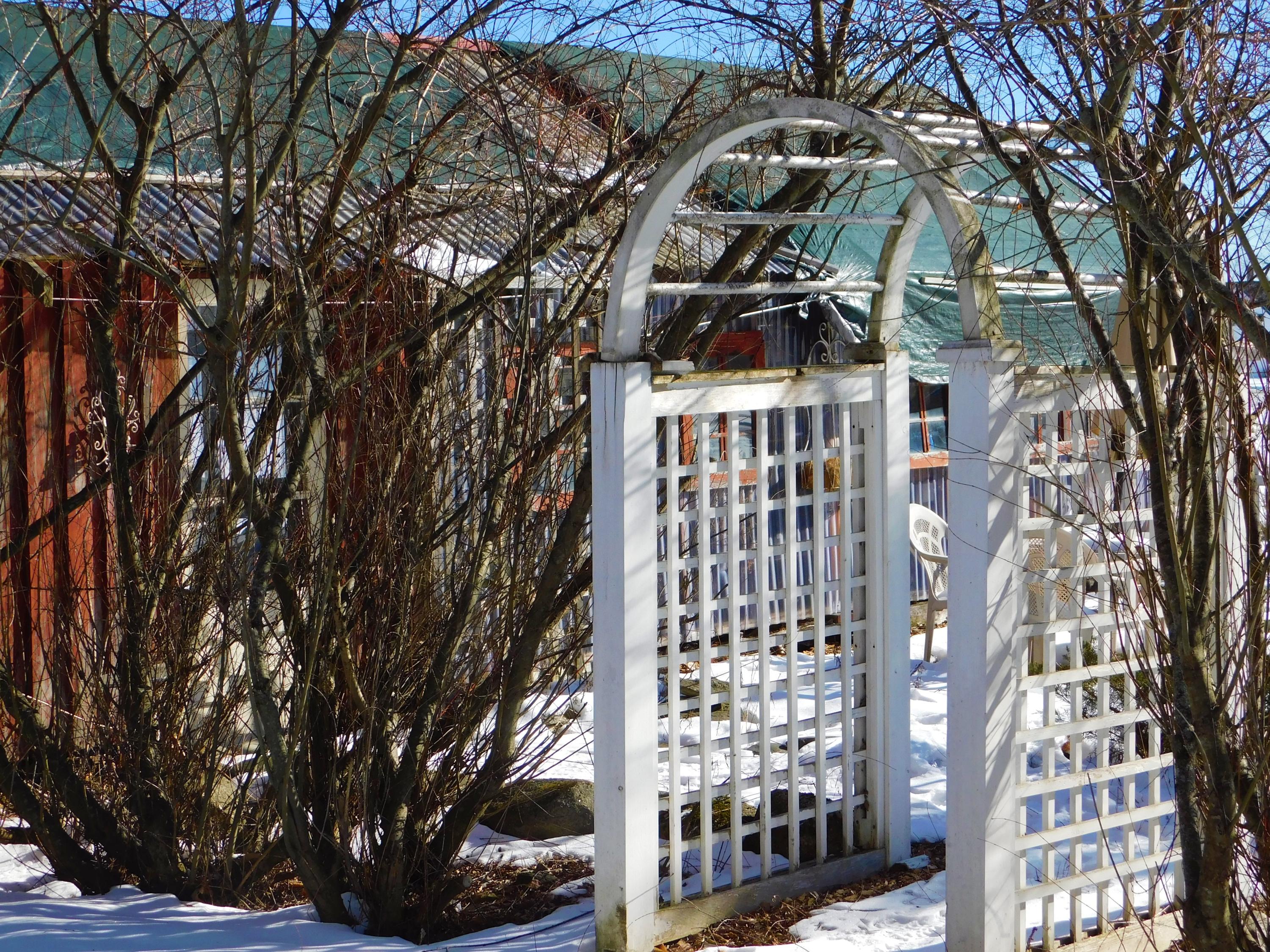 10 Oxbow Road Palmyra, ME 04965 - Photo 109 of 133 Arbor