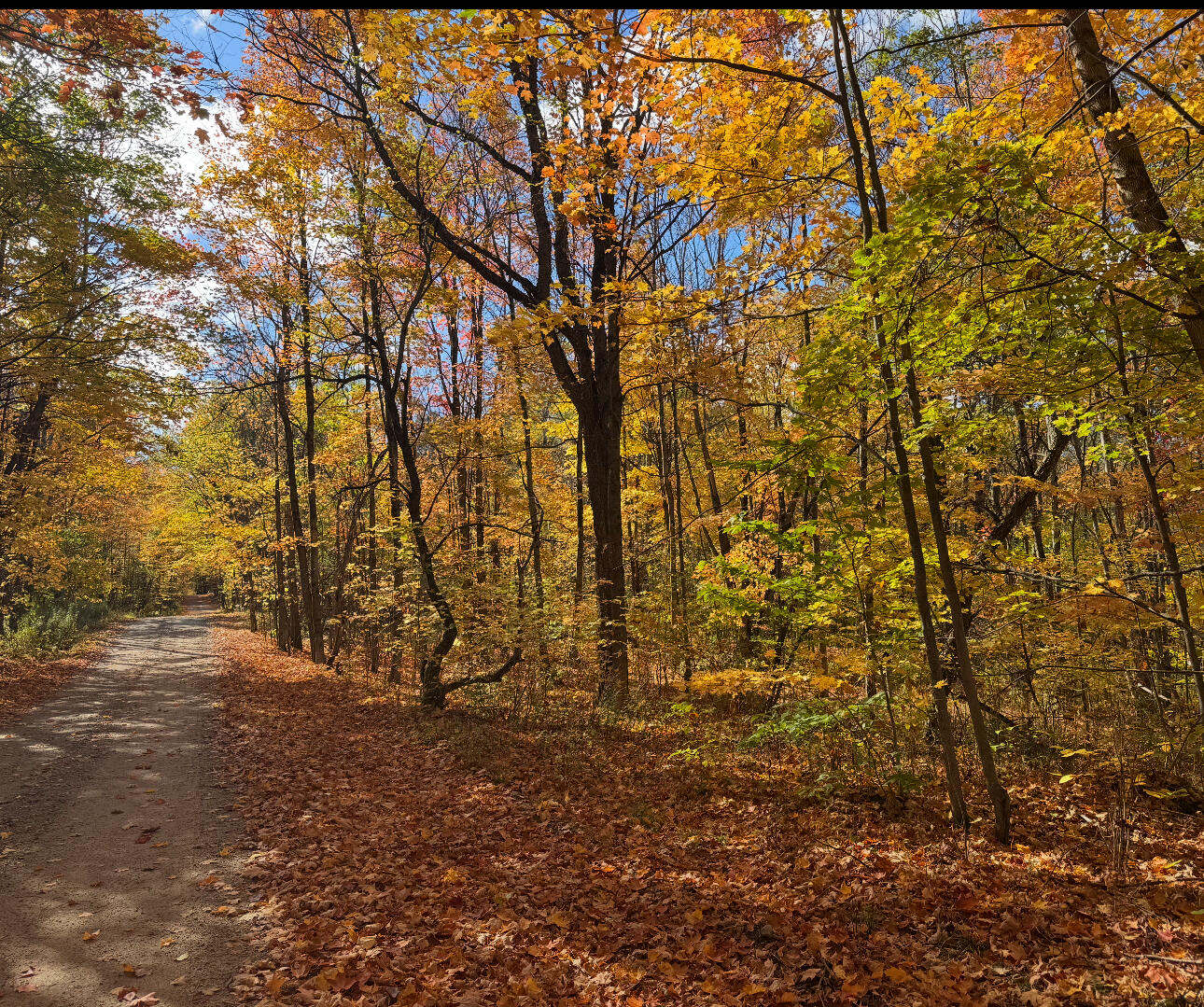 0 French Settlement Road Malone, NY 12953 - Photo 2 of 18 228A5314-AA7D-40F4-8024-87D1F24DDED6