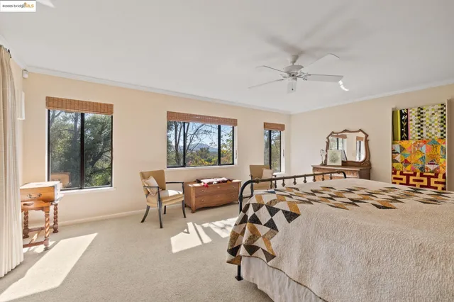 a view of a garden with plants and large trees
