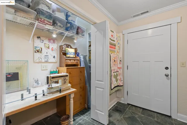 a view of a backyard with plants