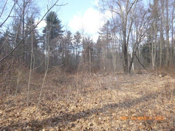 Lot A Wine Road New Braintree, MA 01531 - Photo 5 of 9 Gallery Image 5