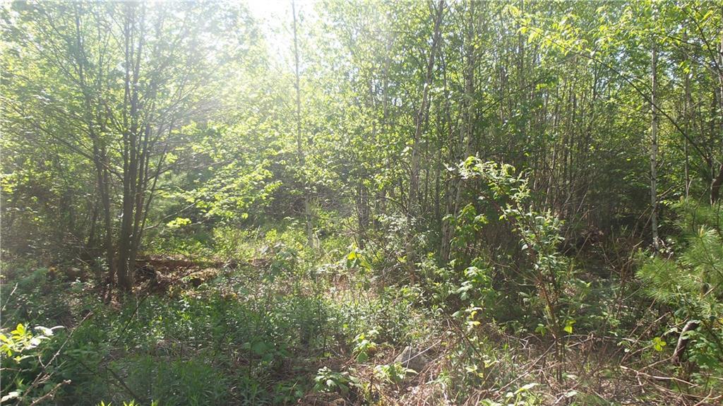 Lot 23-1 South Effingham Road Newfield, ME 04095 - Photo 1 of 13 Photo