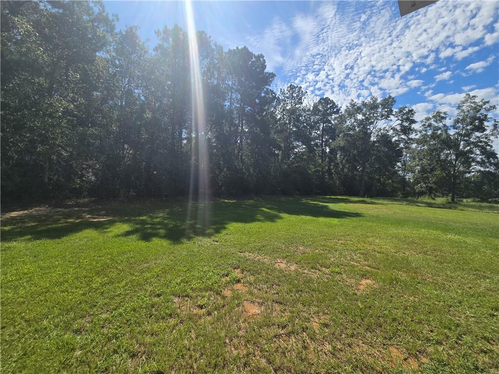 44454 Vessier Road Franklinton, LA 70438 - Photo 12 of 13