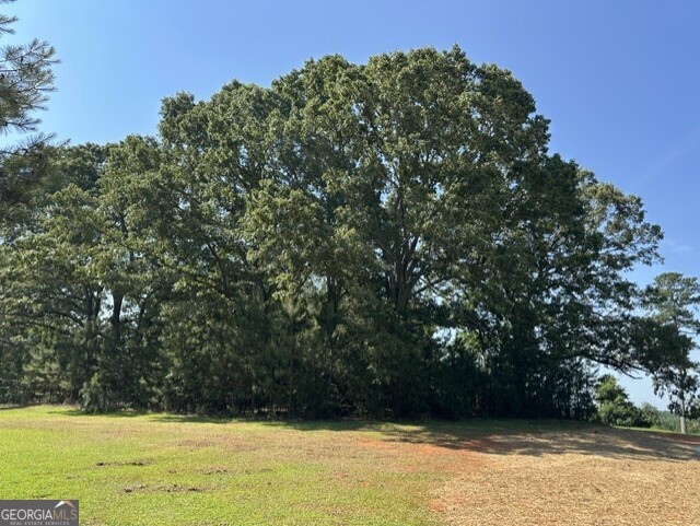 3511 New High Shoals Road Bishop, GA 30621 - Photo 2 of 4