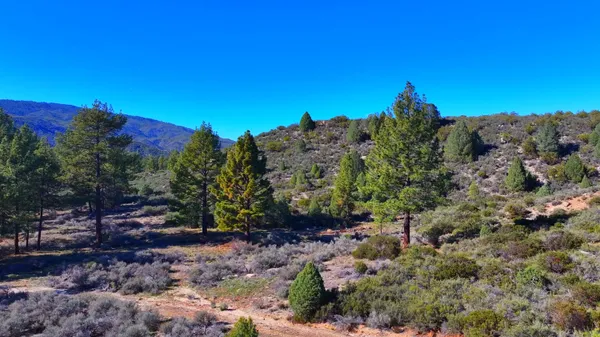 a view of a large building with mountain view