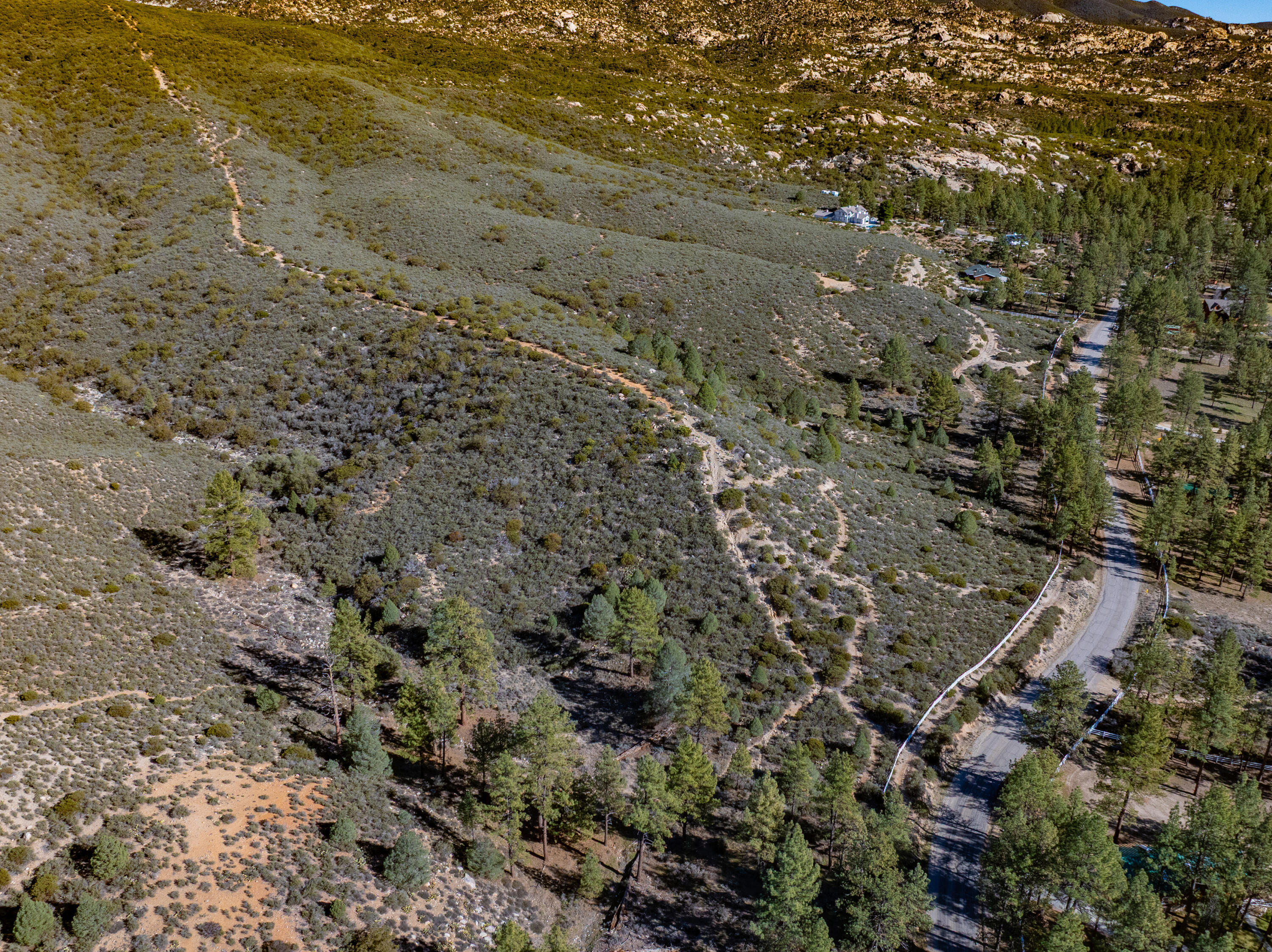1 Butterfly Peak Road Mountain Center, CA 92561 - Photo 13 of 13 a view of a field with lots of trees