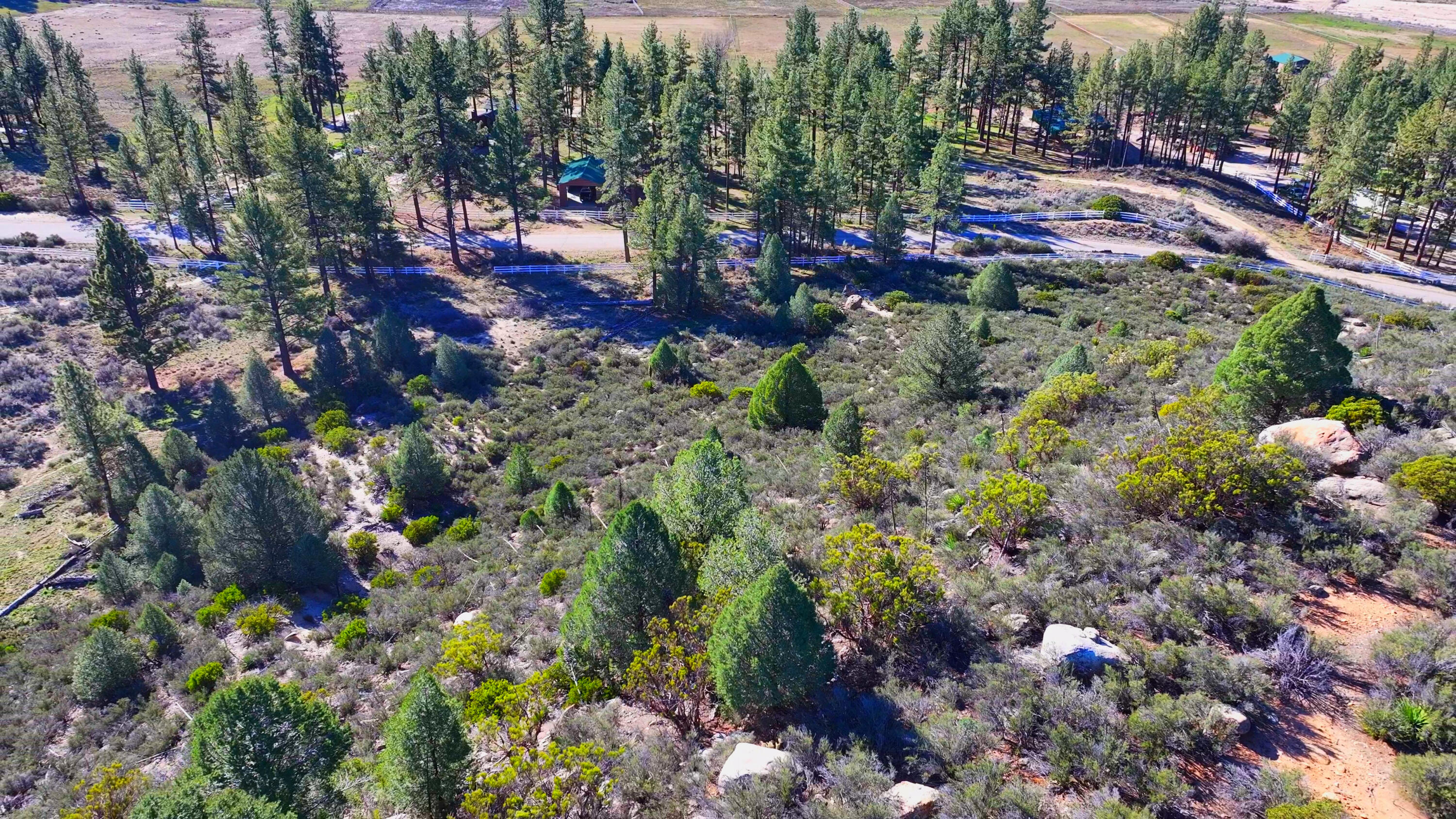 1 Butterfly Peak Road Mountain Center, CA 92561 - Photo 3 of 13 a view of a bunch of flowers and trees