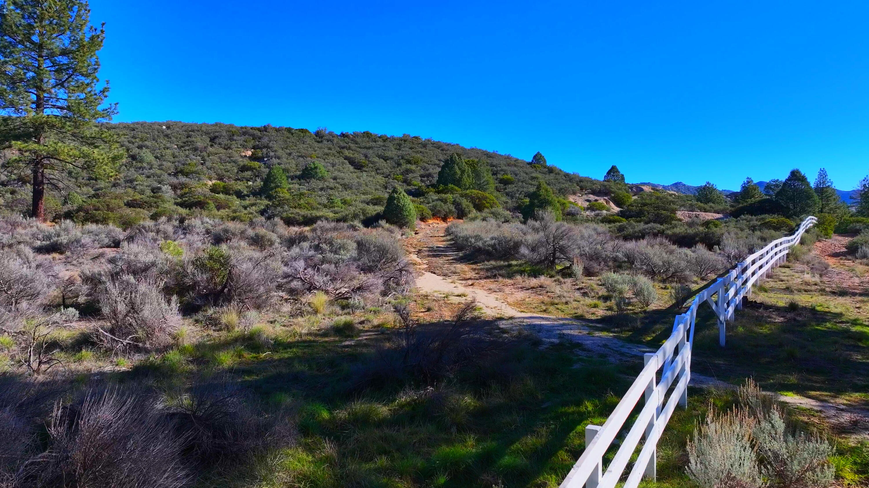 1 Butterfly Peak Road Mountain Center, CA 92561 - Photo 6 of 13 a view of a yard with a tree