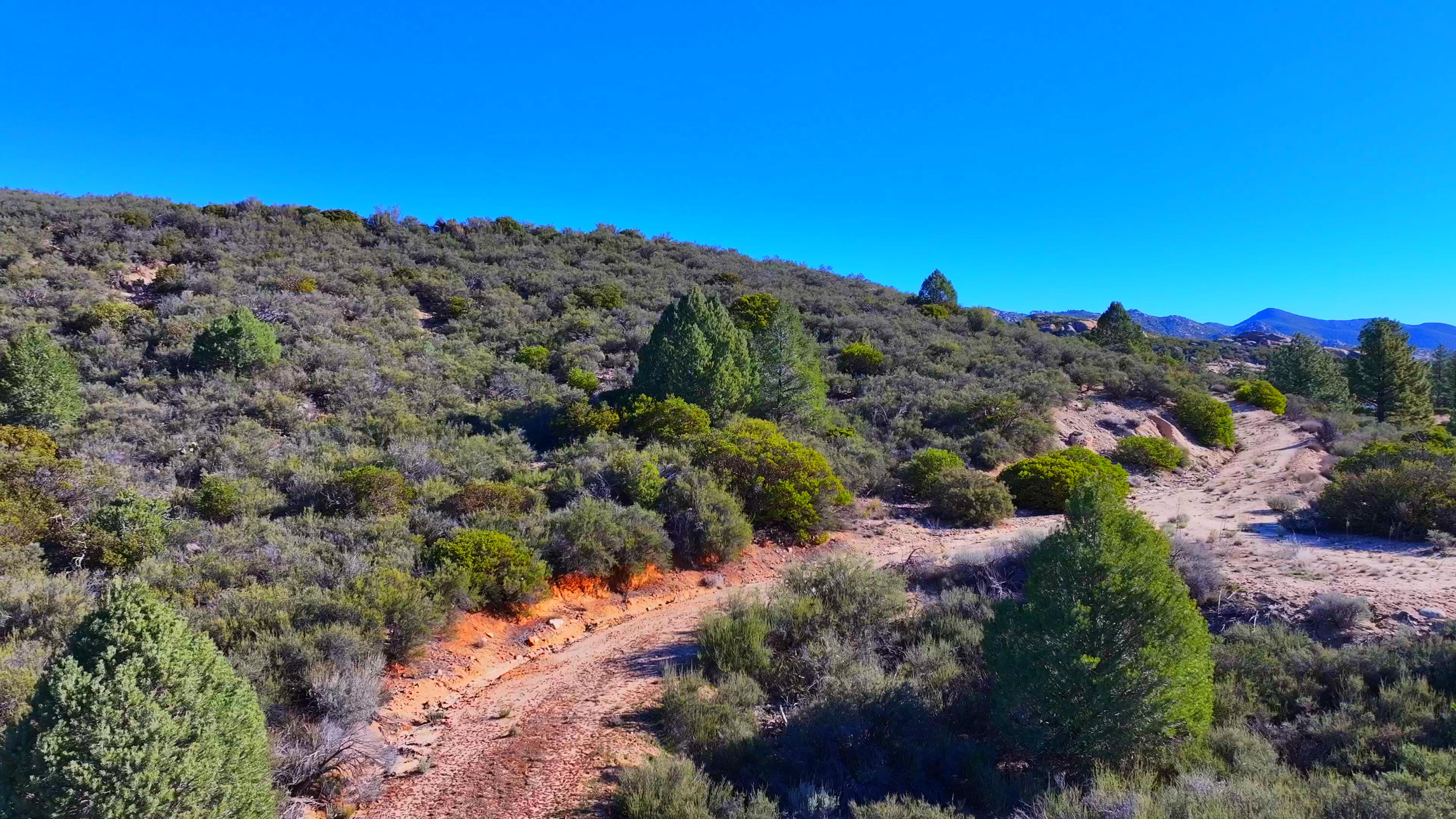 1 Butterfly Peak Road Mountain Center, CA 92561 - Photo 7 of 13 a view of a lot of trees and bushes