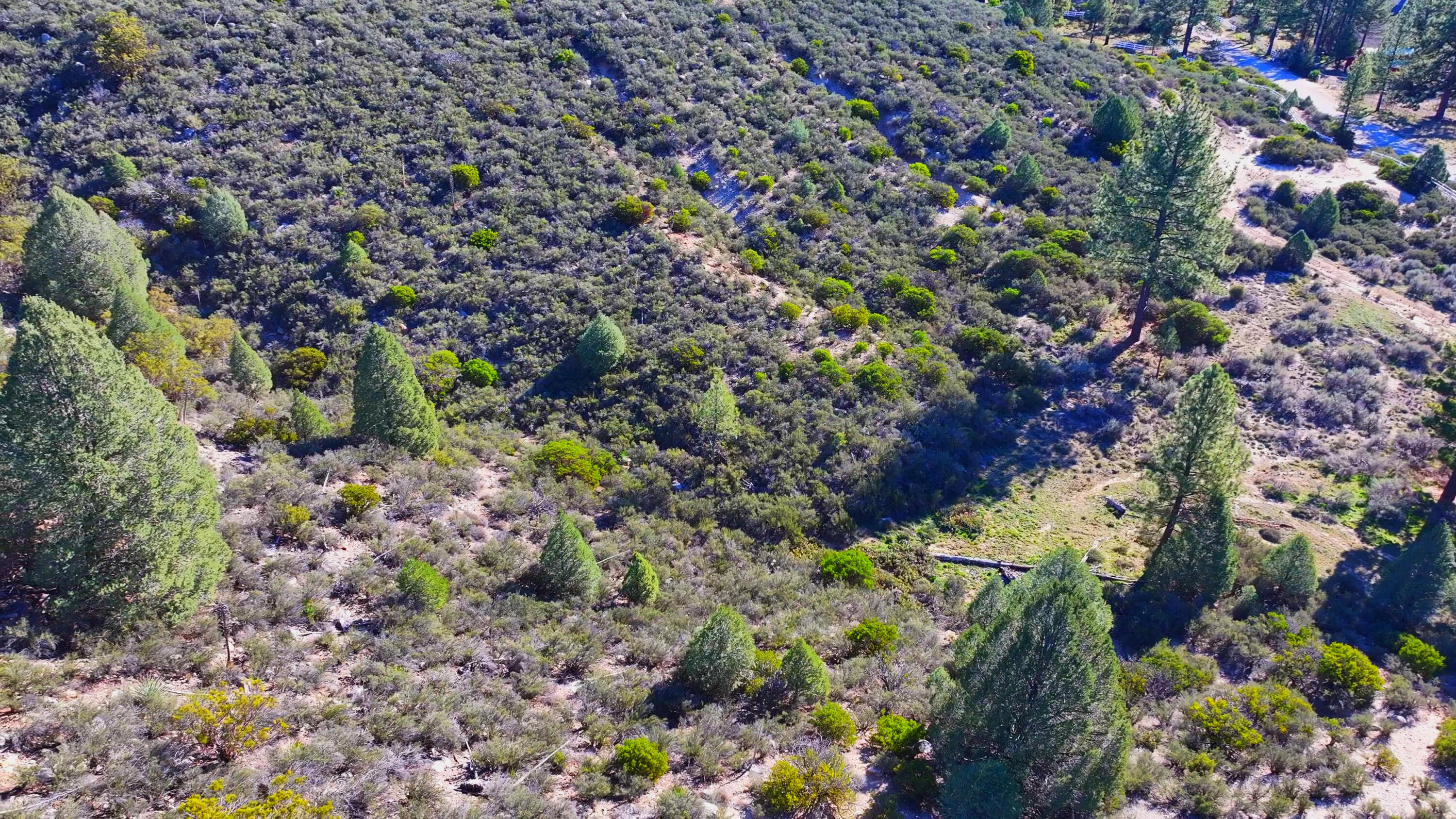 1 Butterfly Peak Road Mountain Center, CA 92561 - Photo 8 of 13 a view of a garden with flowers