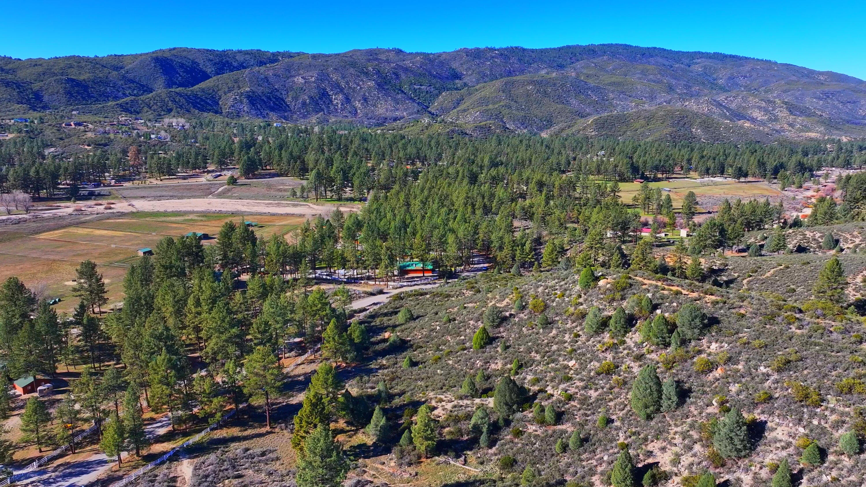 1 Butterfly Peak Road Mountain Center, CA 92561 - Photo 9 of 13 a view of a lush green hillside and houses