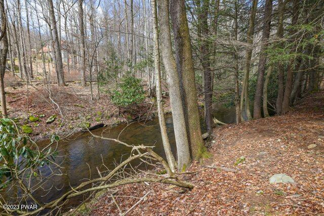 13 Brookfield Road Lake Ariel, PA 18436 - Photo 50 of 51 Stream