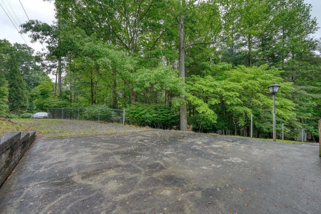 1066 Ridge Road Hiawassee, GA 30546 - Photo 5 of 51 a view of a yard with plants and trees