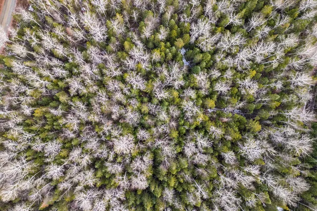 $230,000 | Lot 31-32 Stephens Road, Oquossoc, ME 04964