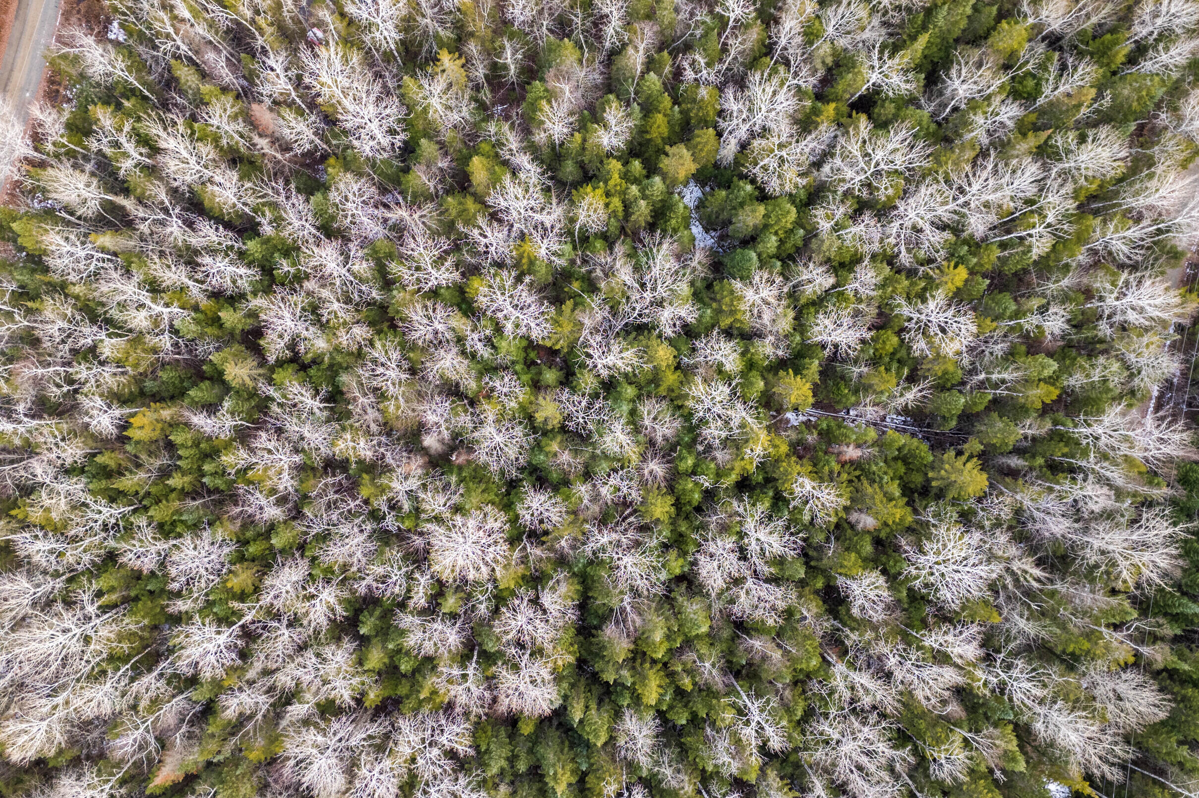 Lot 31-32 Stephens Road Oquossoc, ME 04964 - Photo 6 of 16 arial view