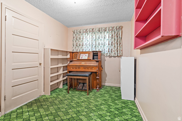 658 Wasatch Street Midvale, UT 84047 - Photo 13 of 31 Green patterned carpeting, built-in shelving, and white paneled door