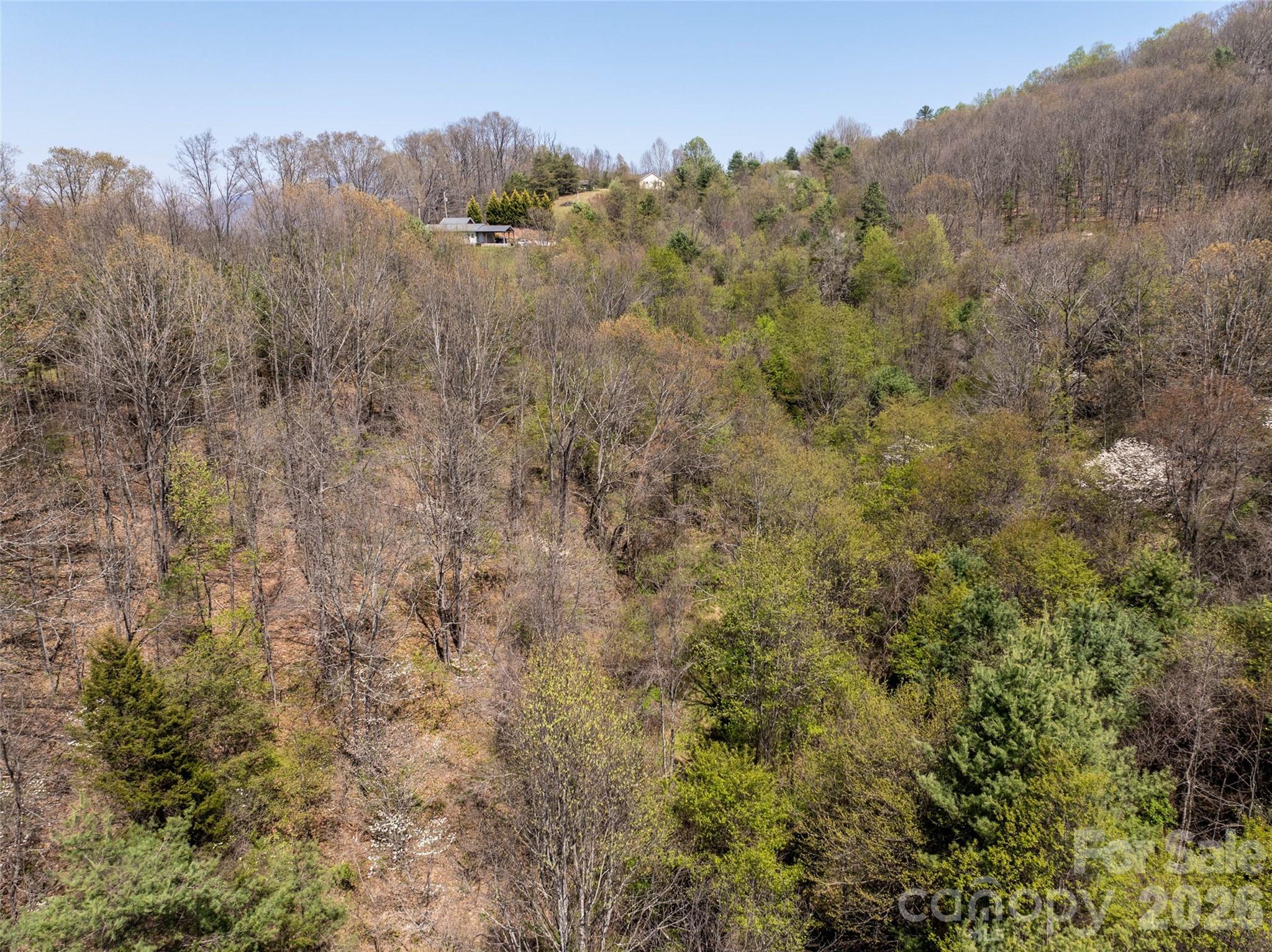 Lot 42 Sunnybrook Trail Clyde, NC 28721 - Photo 5 of 10