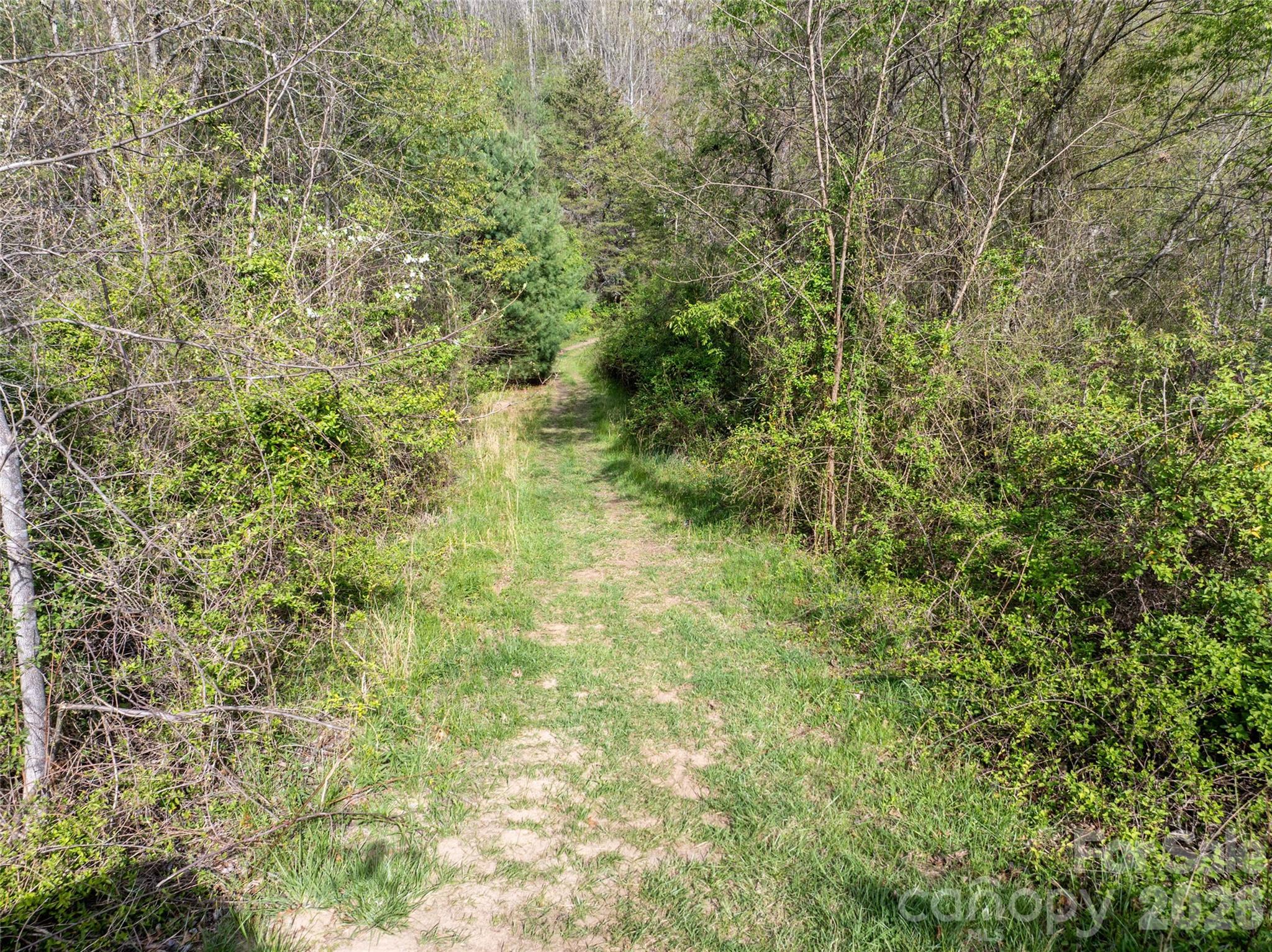 Lot 42 Sunnybrook Trail Clyde, NC 28721 - Photo 6 of 10 a view of a yard