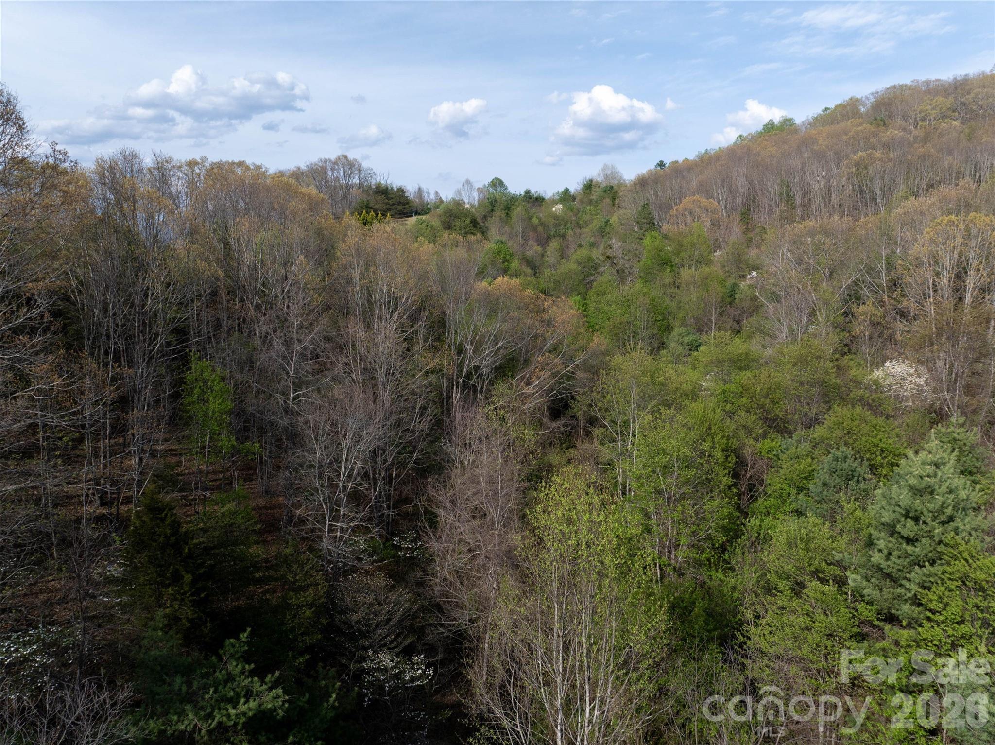 Lot 42 Sunnybrook Trail Clyde, NC 28721 - Photo 7 of 10 a view of a city