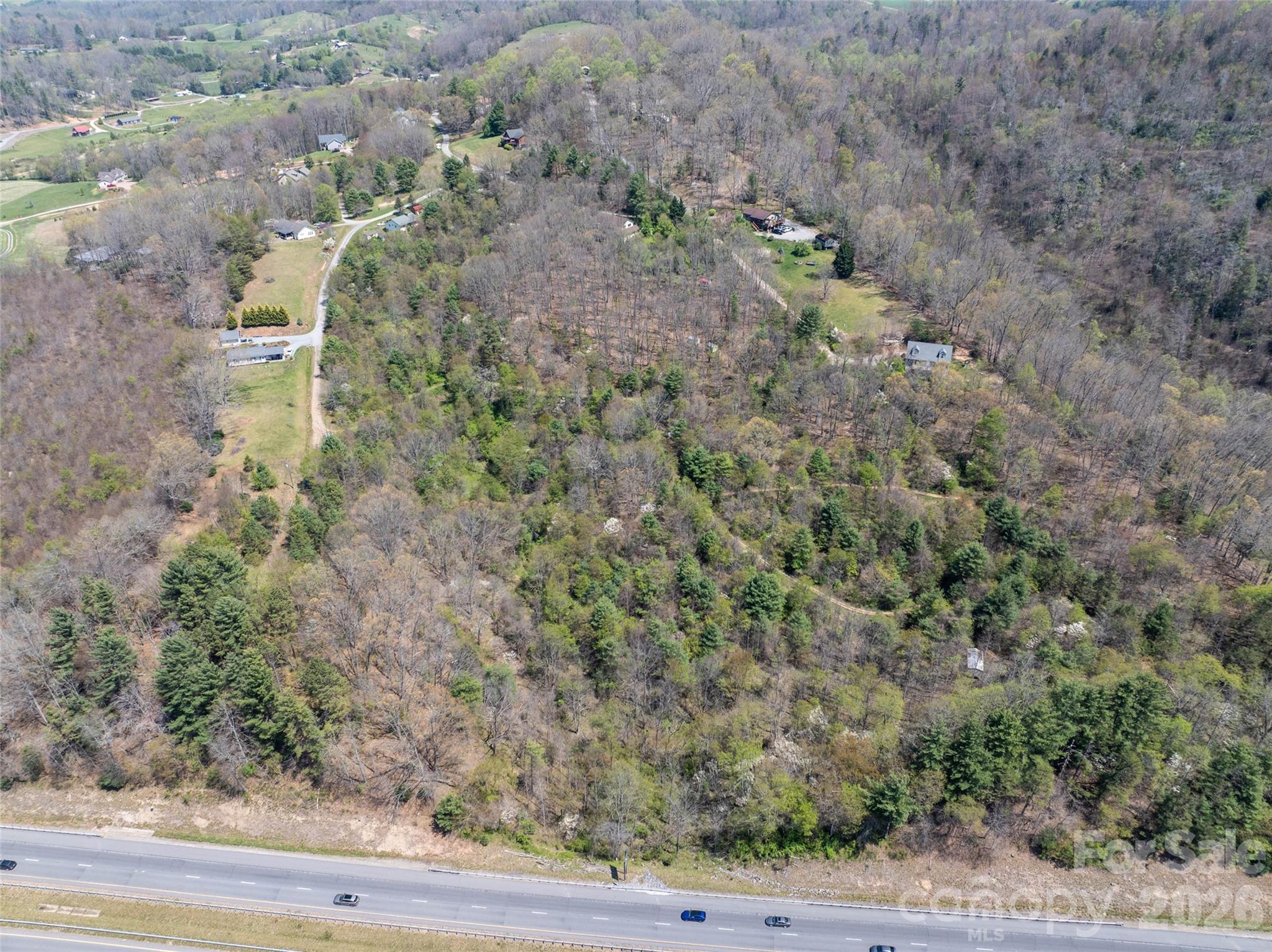 Lot 42 Sunnybrook Trail Clyde, NC 28721 - Photo 9 of 10 a view of a yard with plants