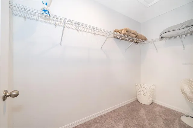 a view of a room with racks on the wall