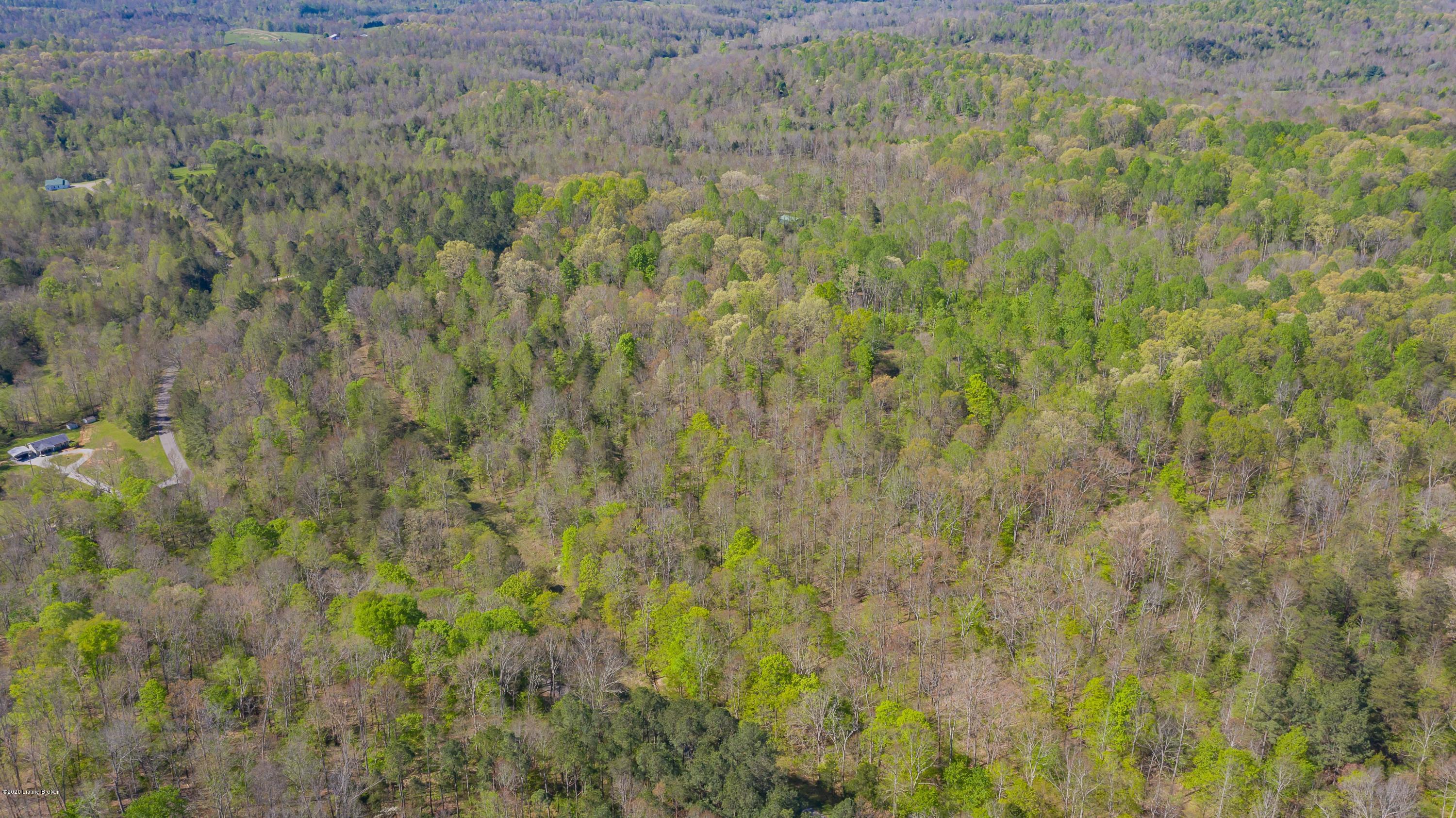 993 Poplar Grove Road Buffalo, KY 42716 - Photo 19 of 35 DJI_0144