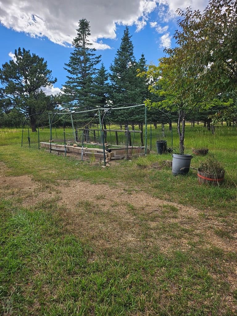 1413 County Road 671 Rye, CO 81069 - Photo 29 of 40