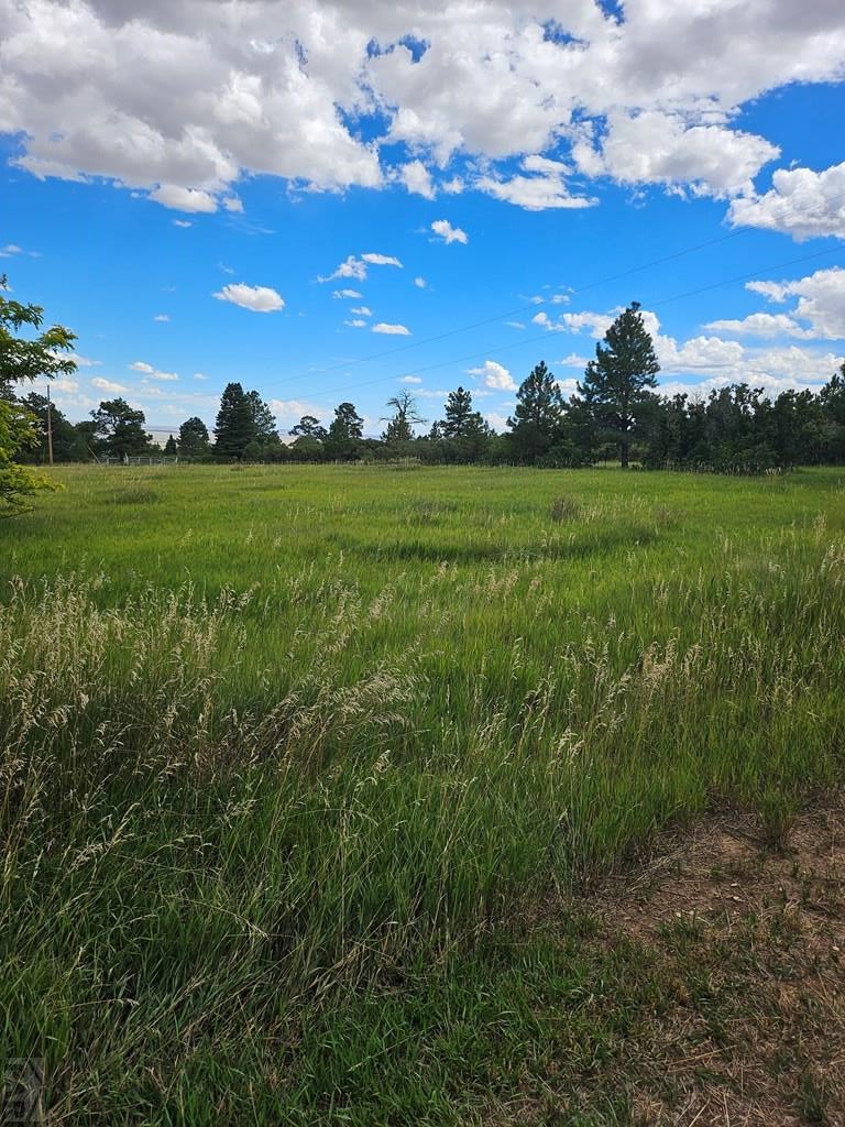 1413 County Road 671 Rye, CO 81069 - Photo 32 of 40