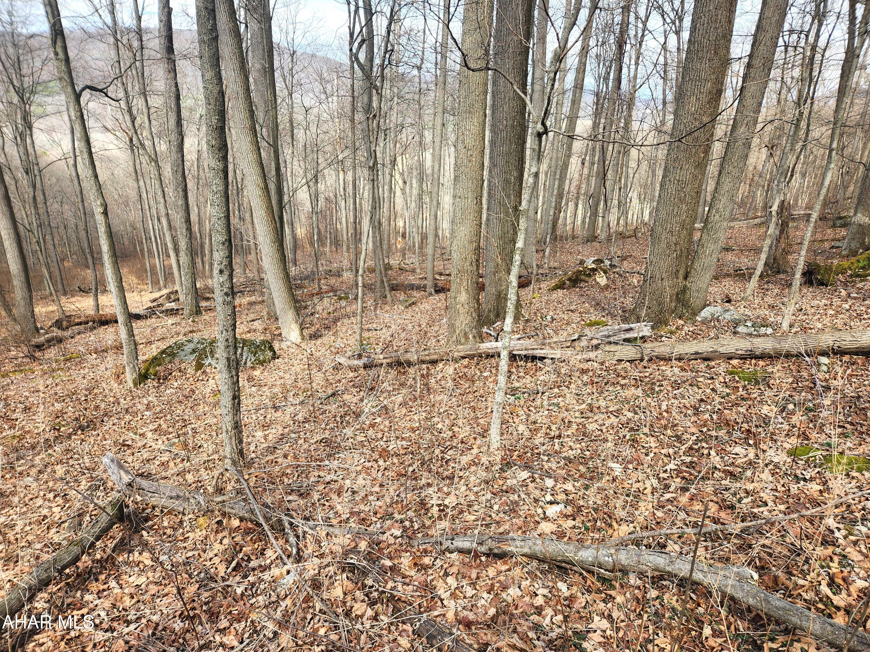 303 Wake Road Buffalo Mills, PA 15534 - Photo 26 of 31