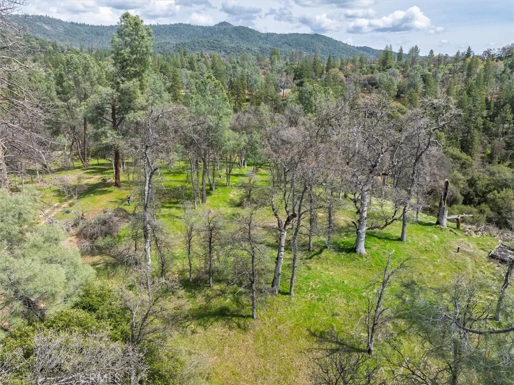 0 Springwood Road Oakhurst, CA 93644 - Photo 11 of 37 a view of a garden