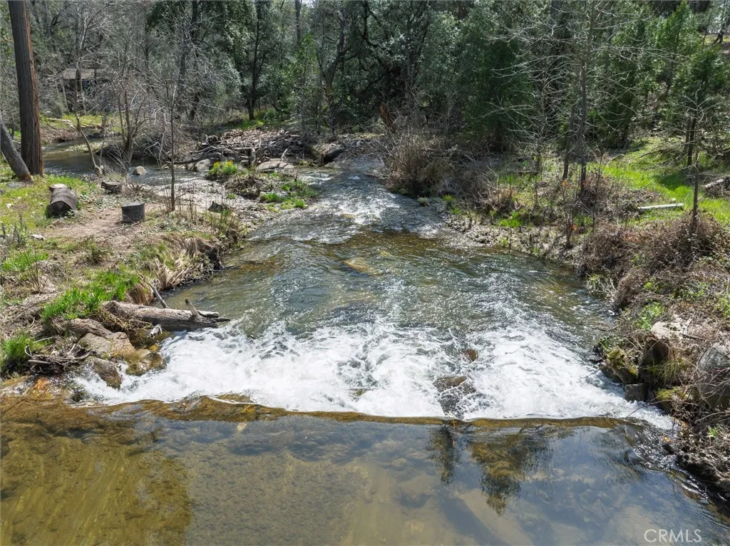 0 Springwood Road Oakhurst, CA 93644 - Photo 13 of 37 a view of a yard covered with trees