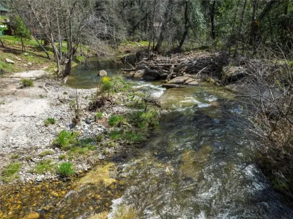 a view of a forest with trees